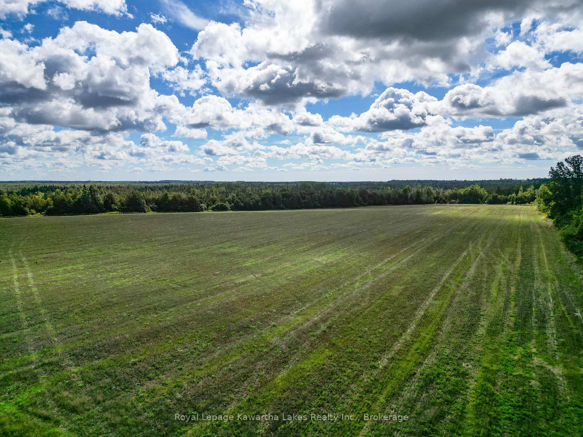 Photo 1 of Demoe Road, Kawartha Lakes, Fenelon — HOMEH