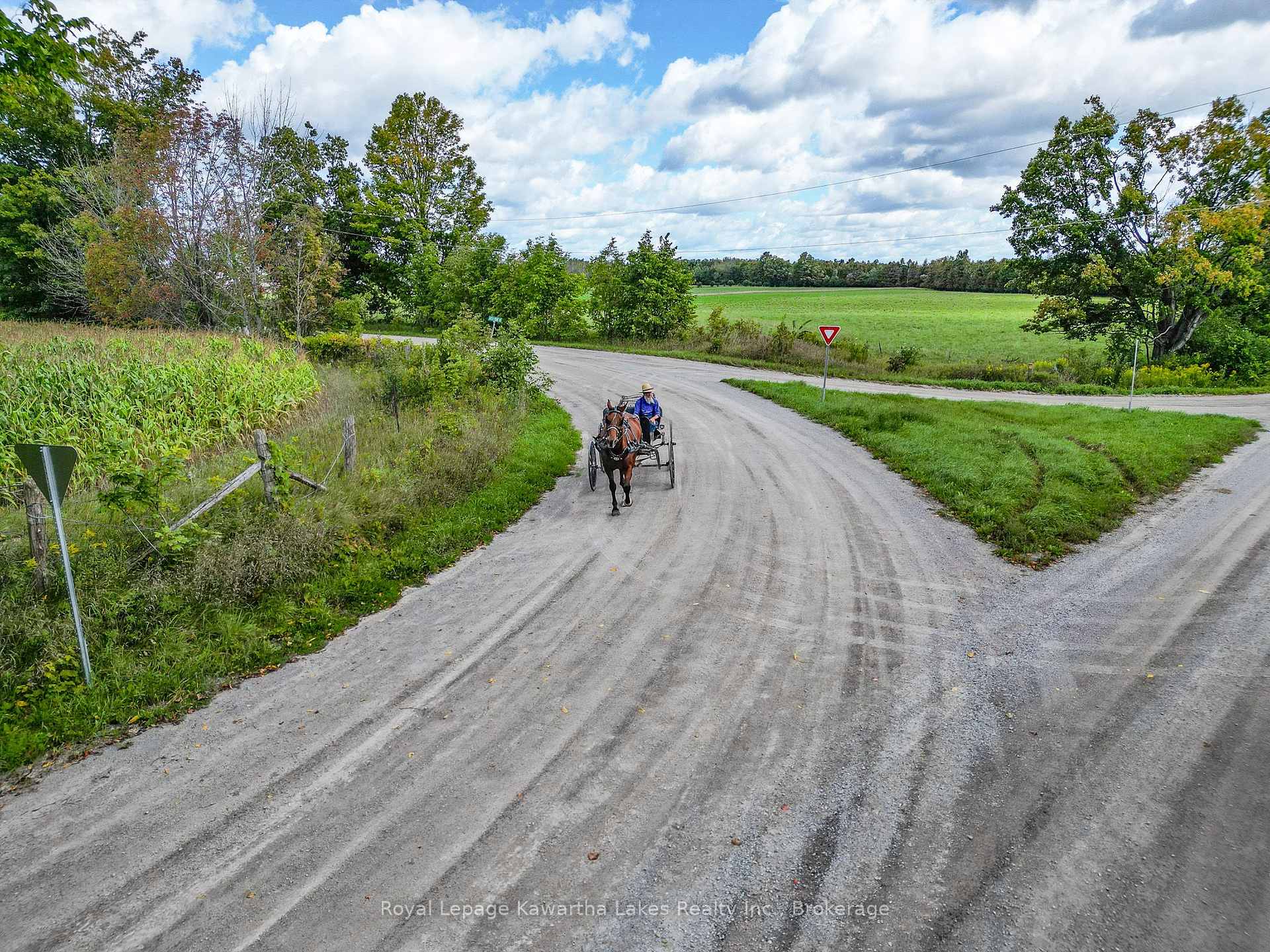 Photo 8 of Demoe Road, Kawartha Lakes, Fenelon — HOMEH