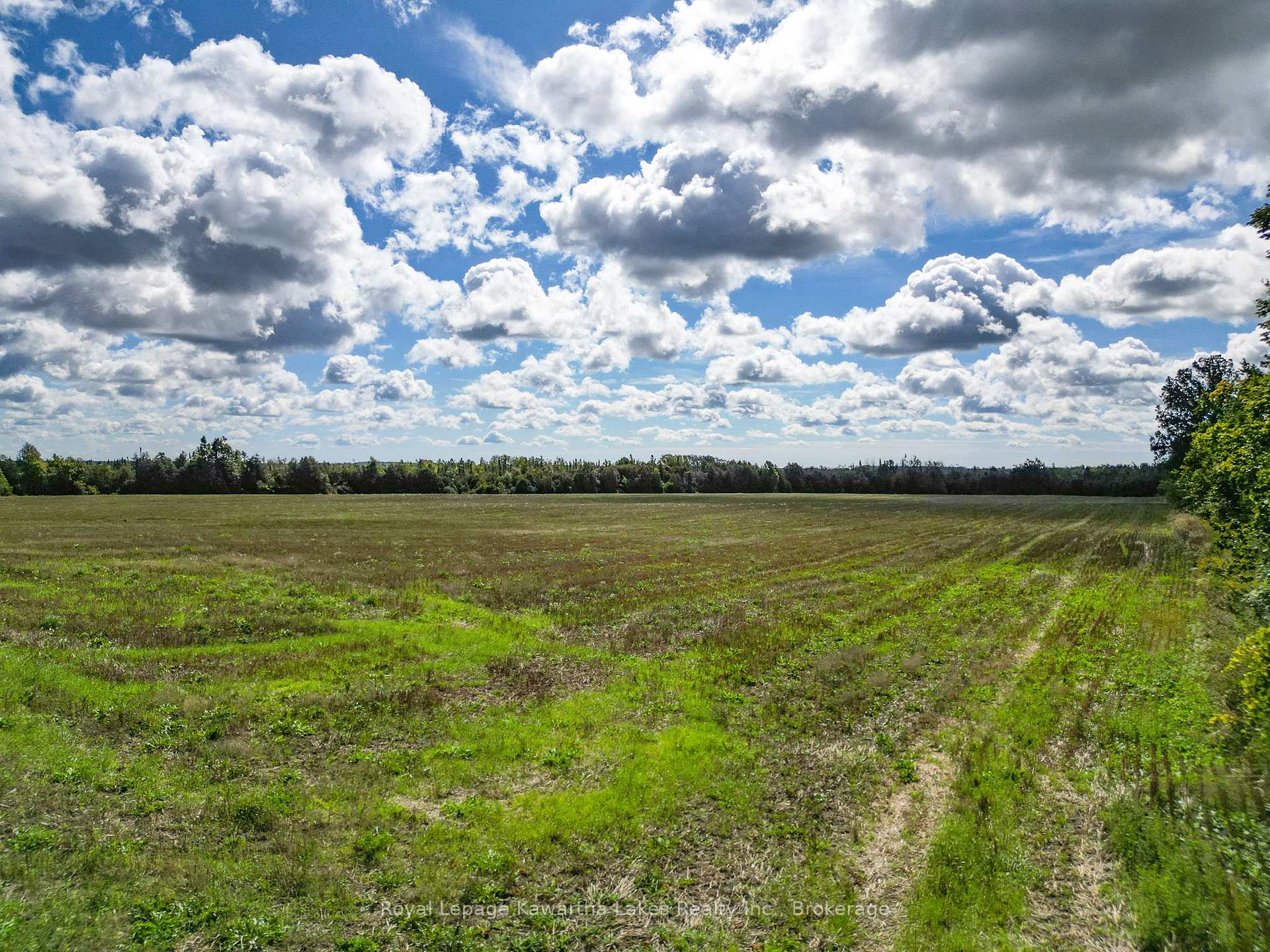 Photo 9 of Demoe Road, Kawartha Lakes, Fenelon — HOMEH