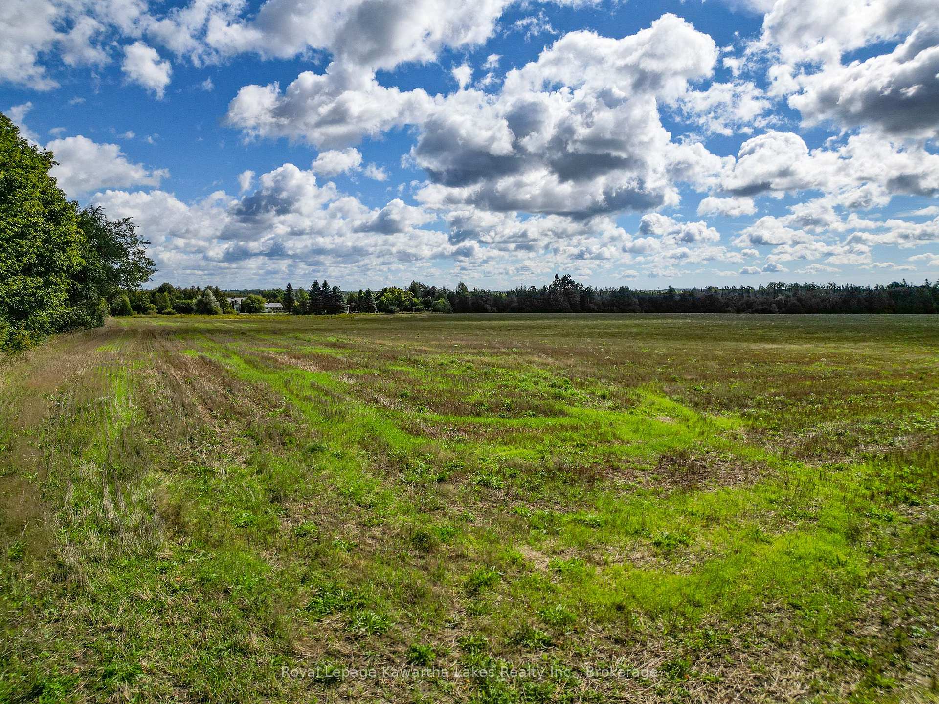 Photo 10 of Demoe Road, Kawartha Lakes, Fenelon — HOMEH