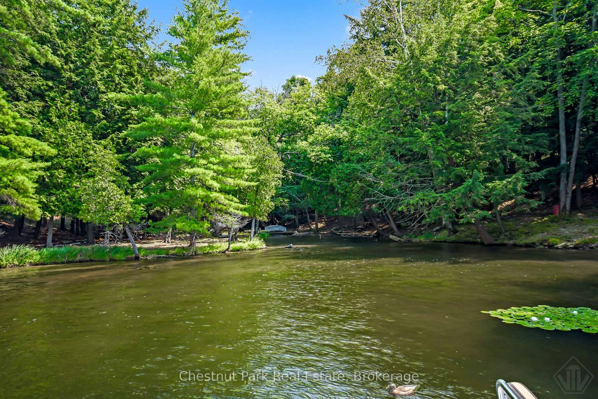 Photo 44 of 1160 Eilean Gowan Island, Bracebridge, Monck (Bracebridge) — HOMEH