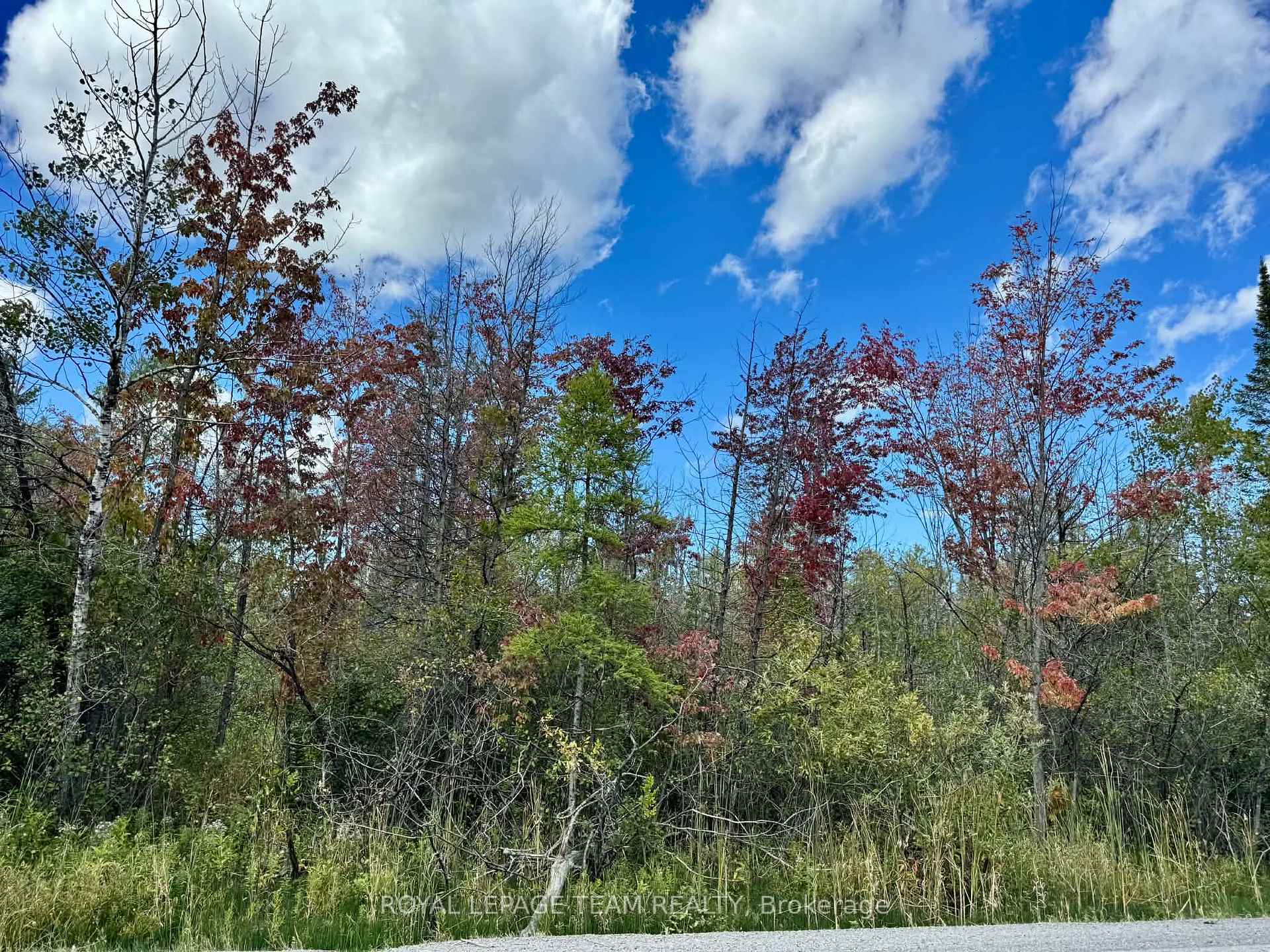 Photo 17 of 00 Richardson Sd Rd Side Road, Ottawa, Huntley Ward (South West) — HOMEH