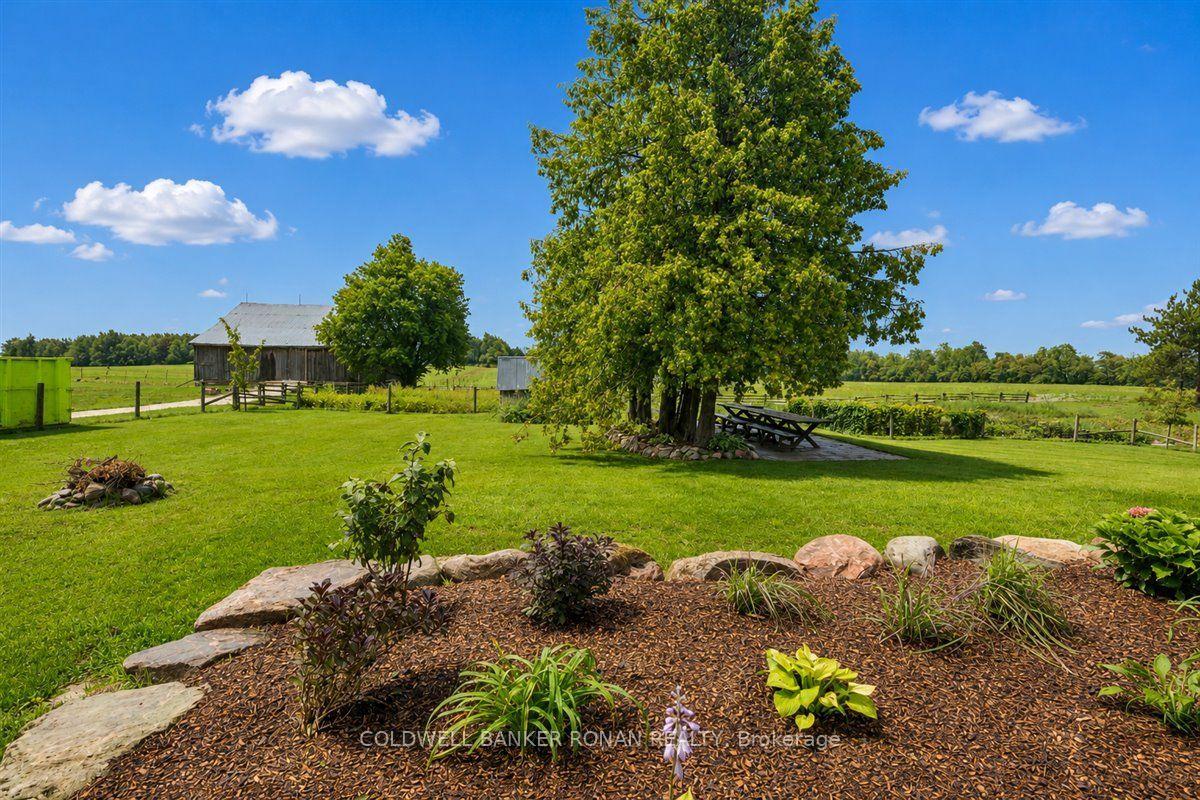 Photo 23 of 715465 1st Line EHS, Mono, Rural Mono — HOMEH