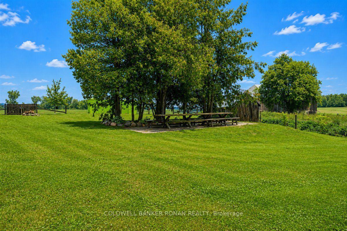 Photo 24 of 715465 1st Line EHS, Mono, Rural Mono — HOMEH