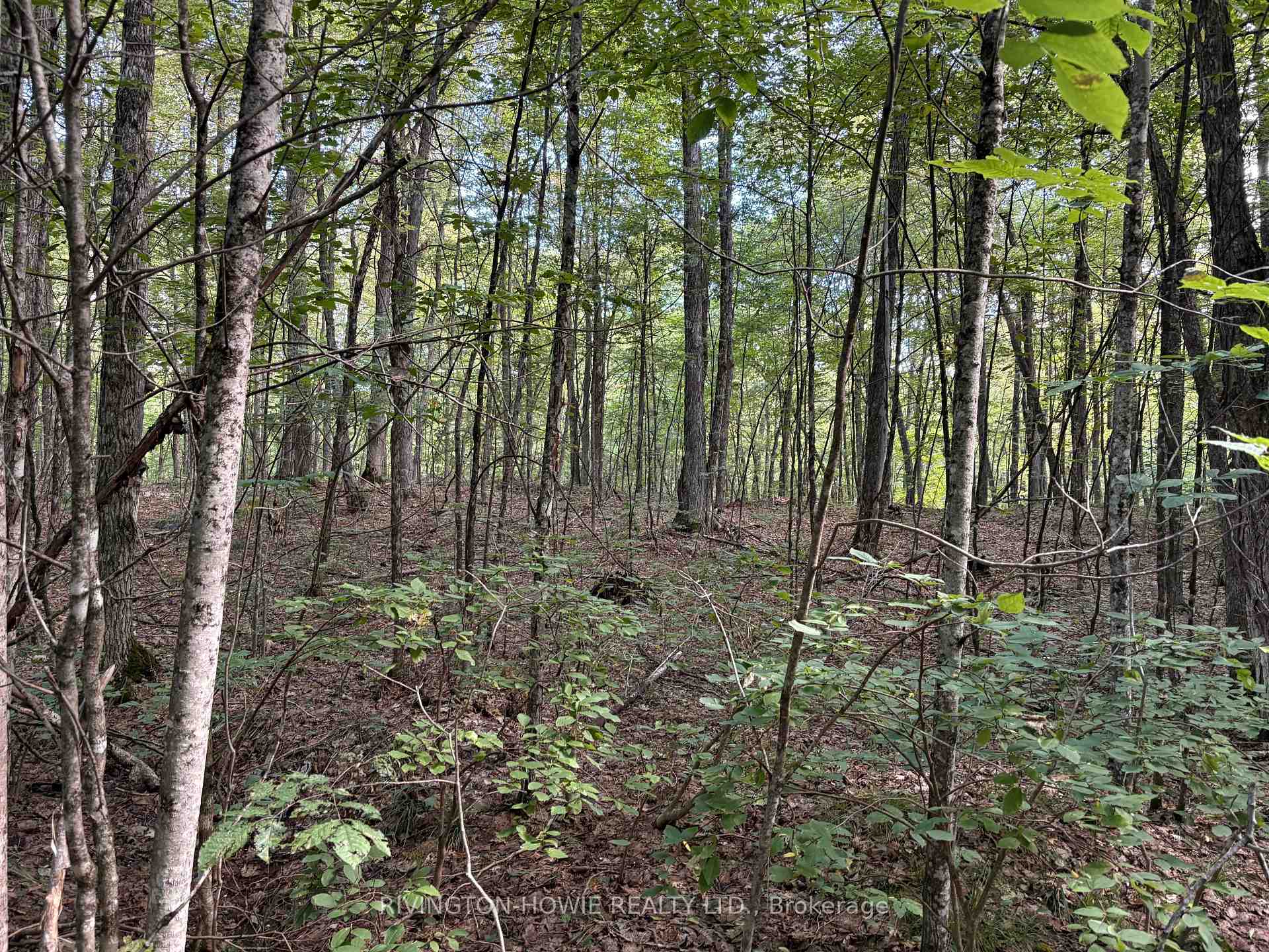 Photo 16 of 00 Darling Road E, Lanark Highlands, Lanark Highlands (Darling) Twp — HOMEH