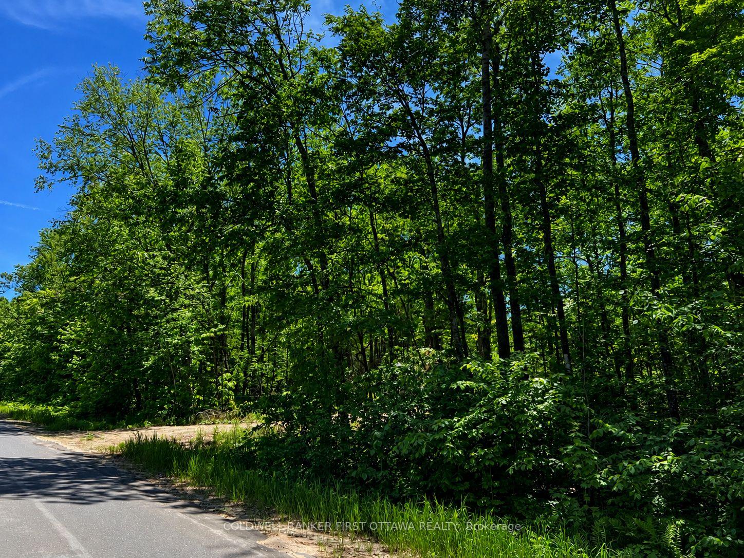 Photo of 0 Buckshot Lake Road