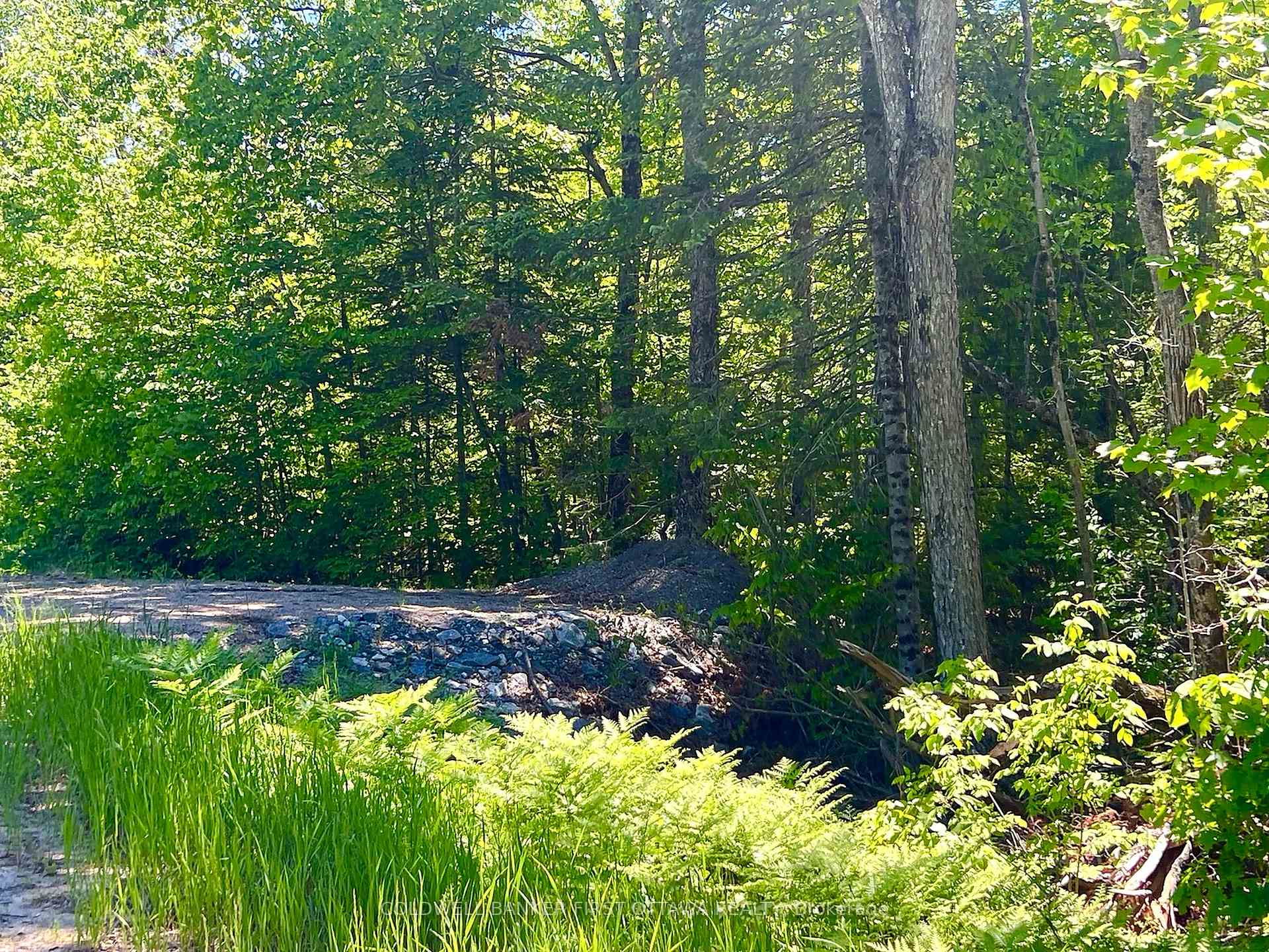 Photo of 00 Buckshot Lake Road