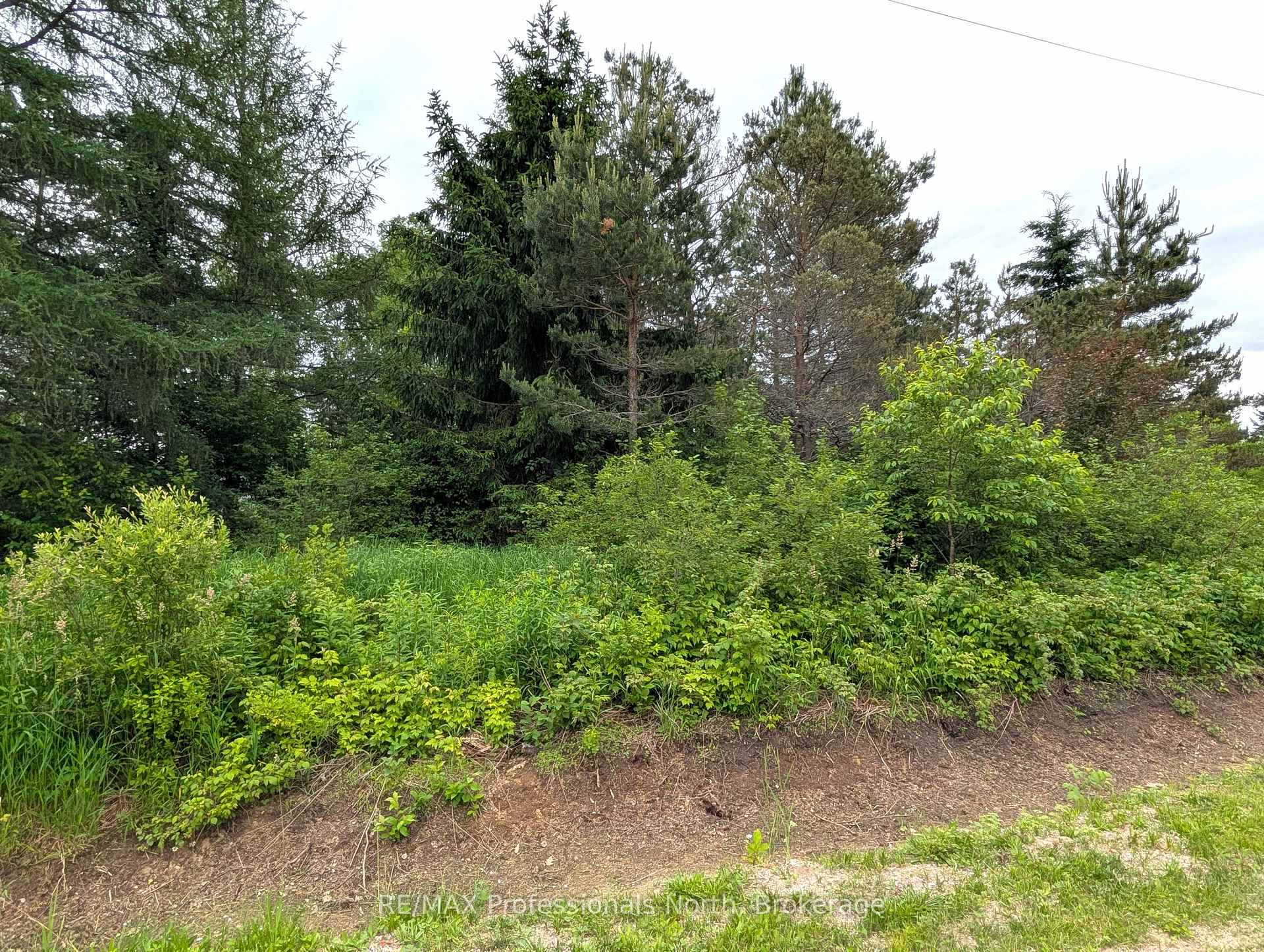Photo 2 of 43 Riverside Avenue, South River — HOMEH