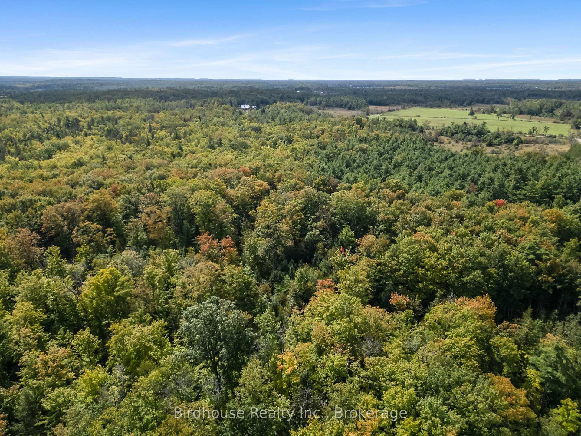 Photo 35 of 79 Honeysuckle Road, Kawartha Lakes, Laxton/Digby/Longford — HOMEH