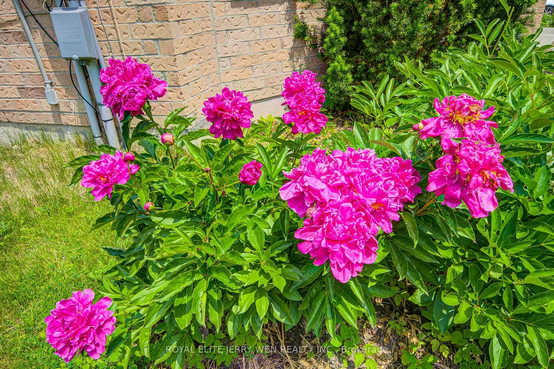 Photo 40 of 70 Bronte Road, Markham, Thornlea — HOMEH