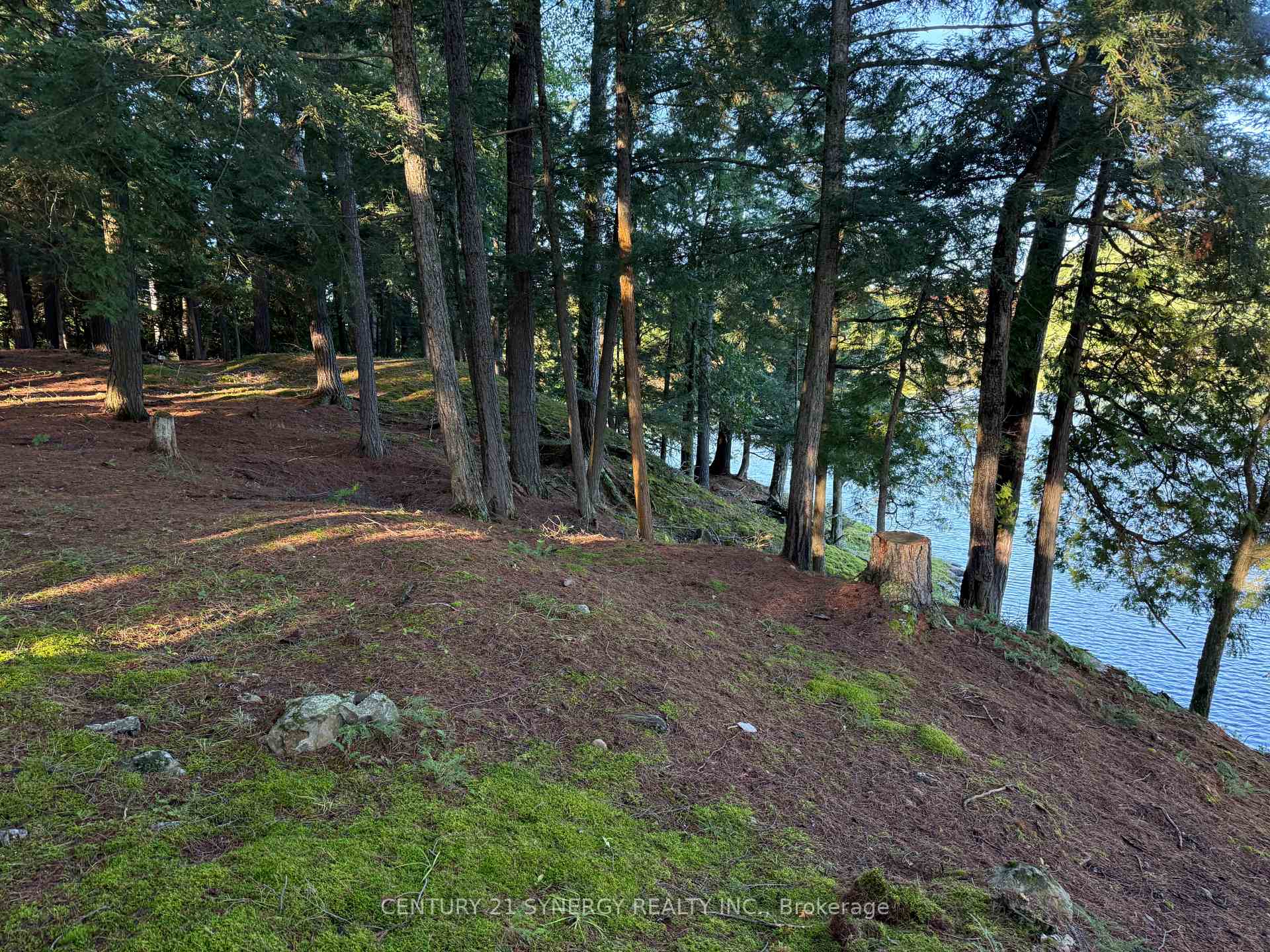 Photo 3 of 218 Lee Trail Lane, Tay Valley, Bathurst/Burgess & Sherbrooke (North Burgess) Twp — HOMEH