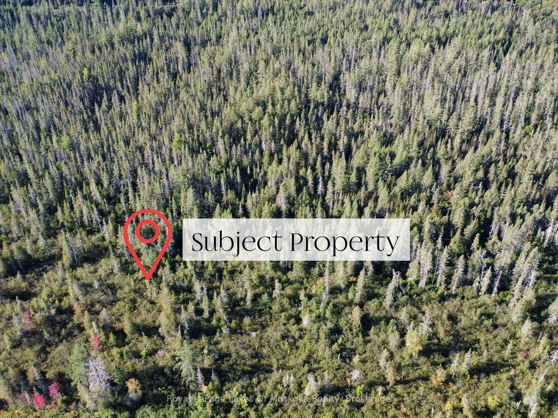 Photo 3 of Fern Glen Road, McMurrich/Monteith, McMurrich — HOMEH