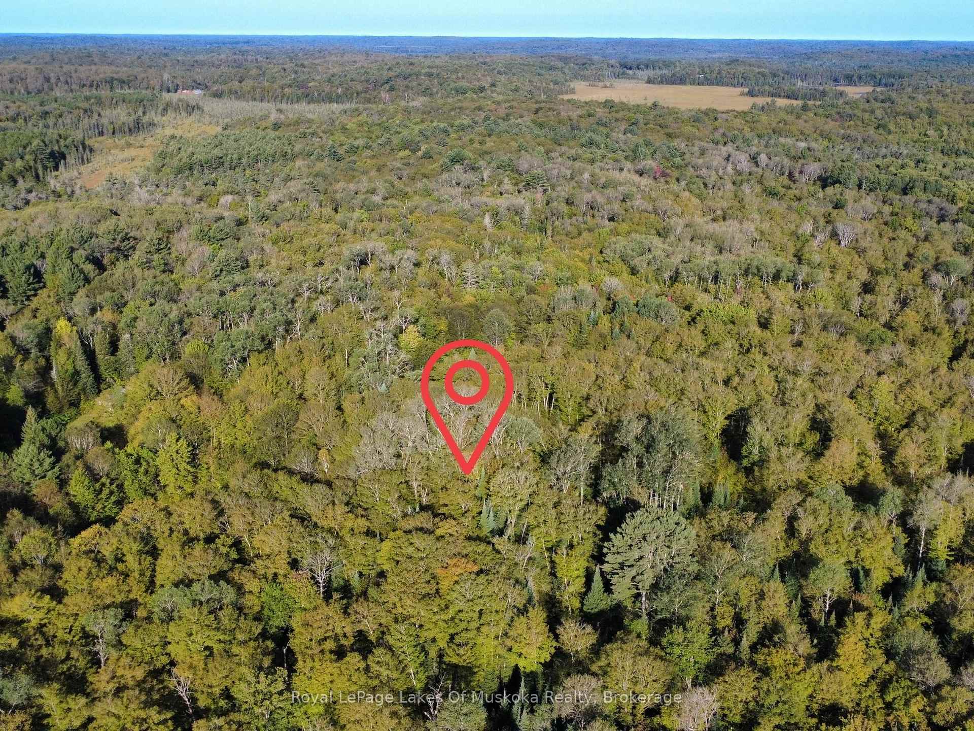 Photo 5 of Fern Glen Road, McMurrich/Monteith, McMurrich — HOMEH