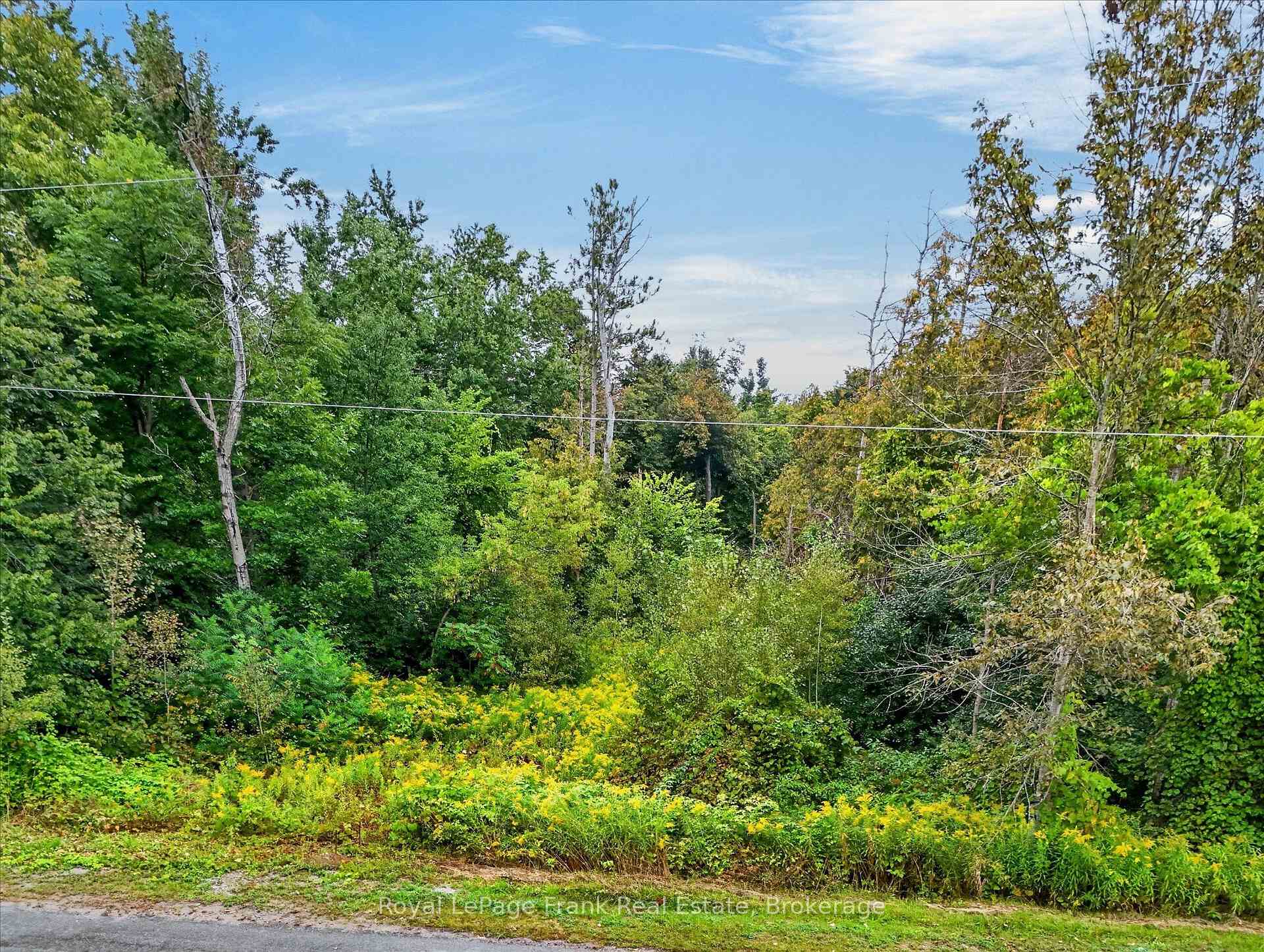 Photo 4 of Pt Lt 6 Seaforth Crescent, Selwyn — HOMEH