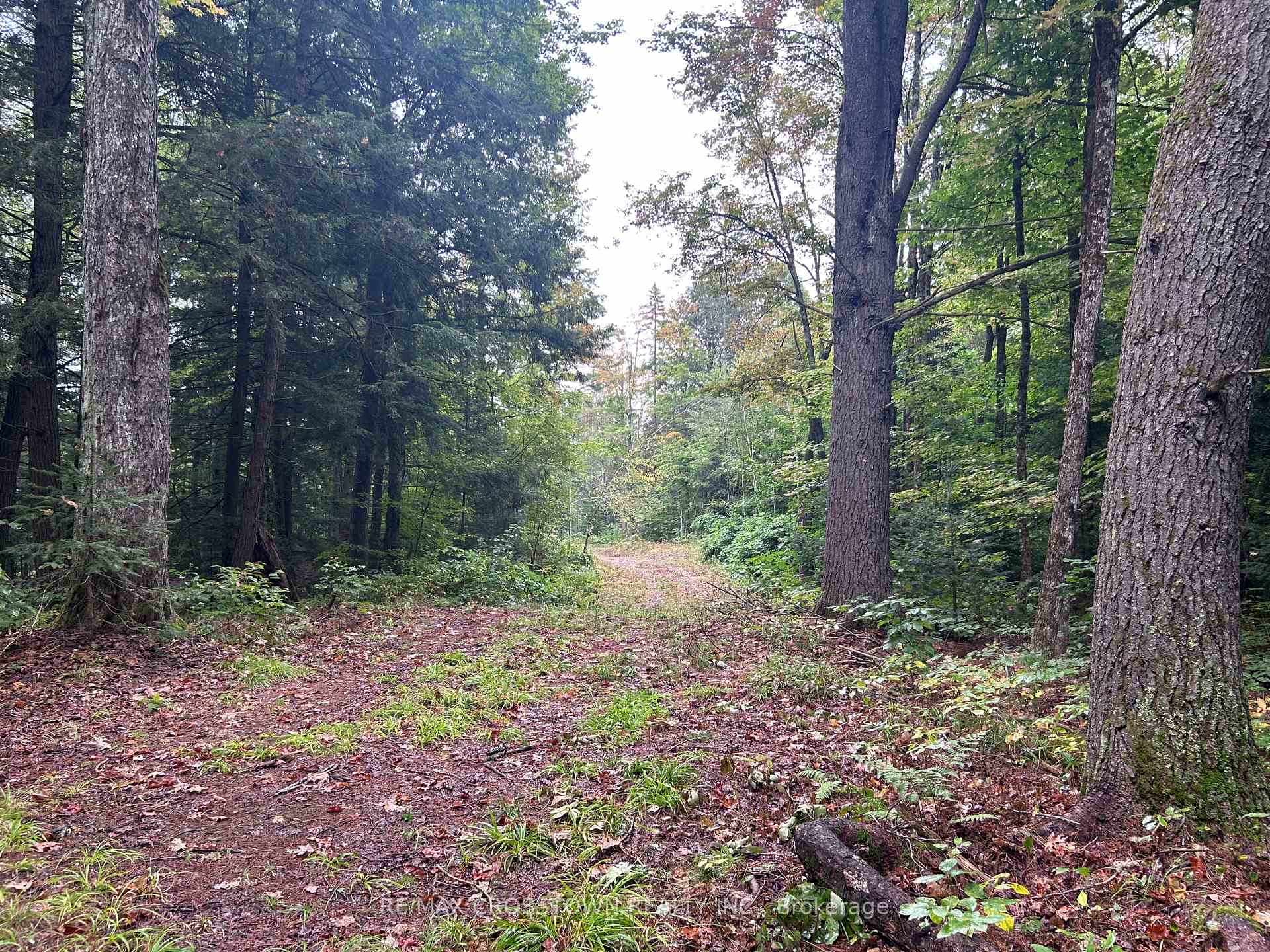 Photo 4 of Queens Line Road, Minden Hills, Minden — HOMEH