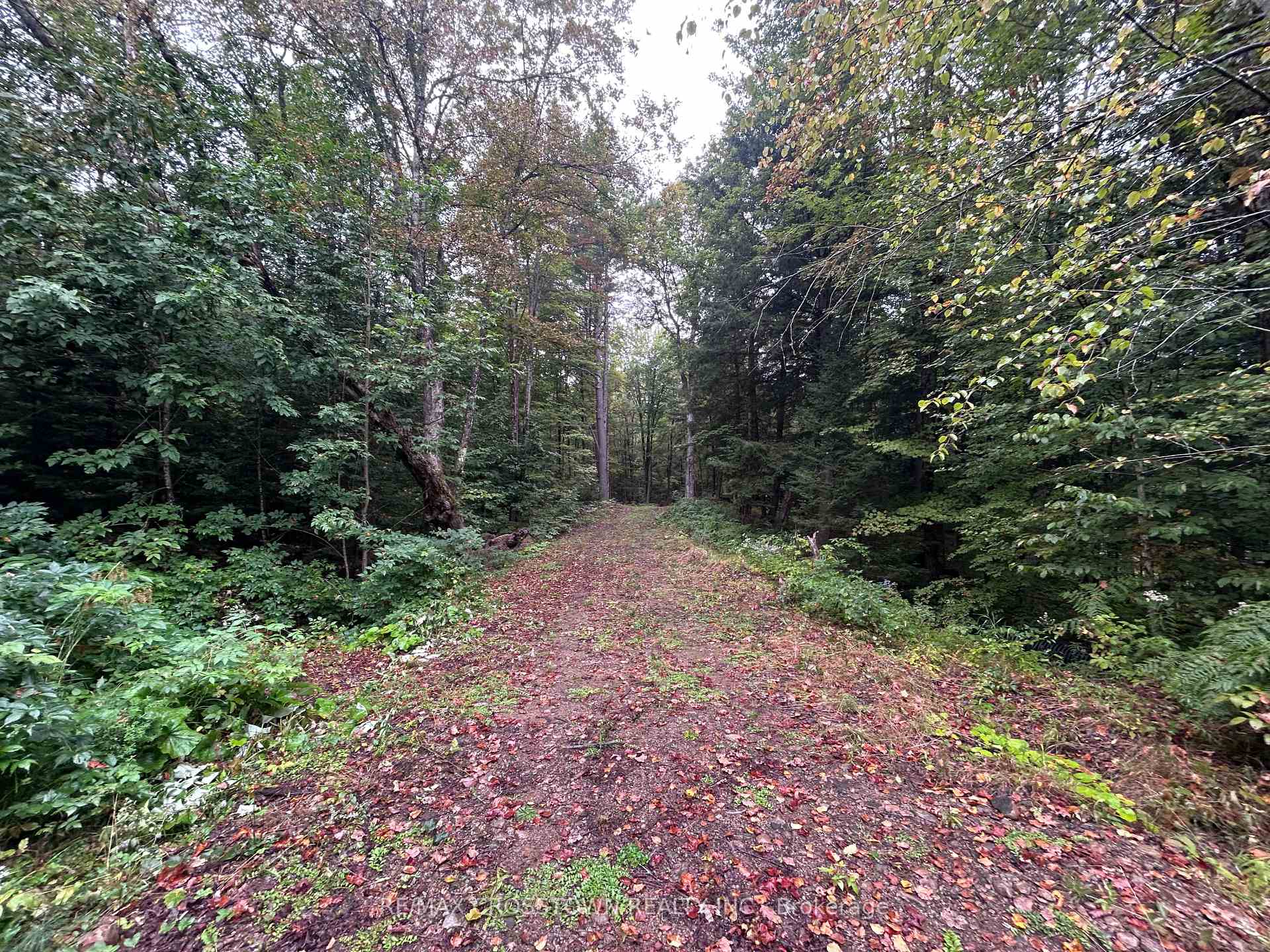 Photo 5 of Queens Line Road, Minden Hills, Minden — HOMEH