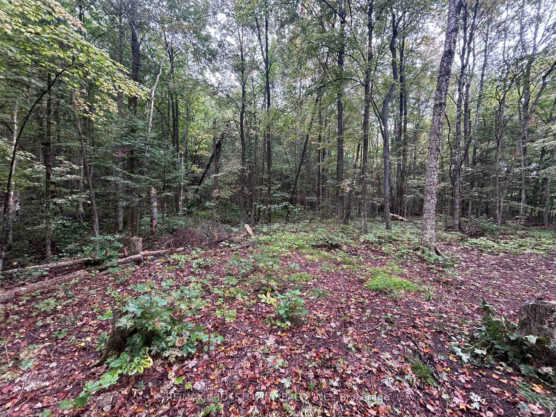 Photo 6 of Queens Line Road, Minden Hills, Minden — HOMEH