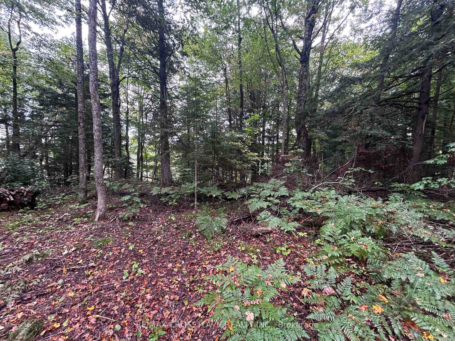 Photo 7 of Queens Line Road, Minden Hills, Minden — HOMEH