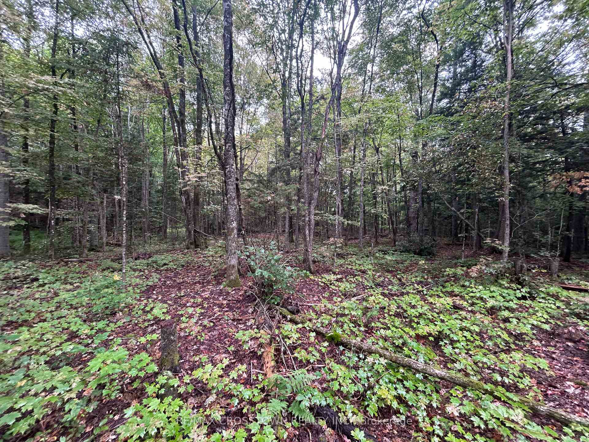 Photo 8 of Queens Line Road, Minden Hills, Minden — HOMEH