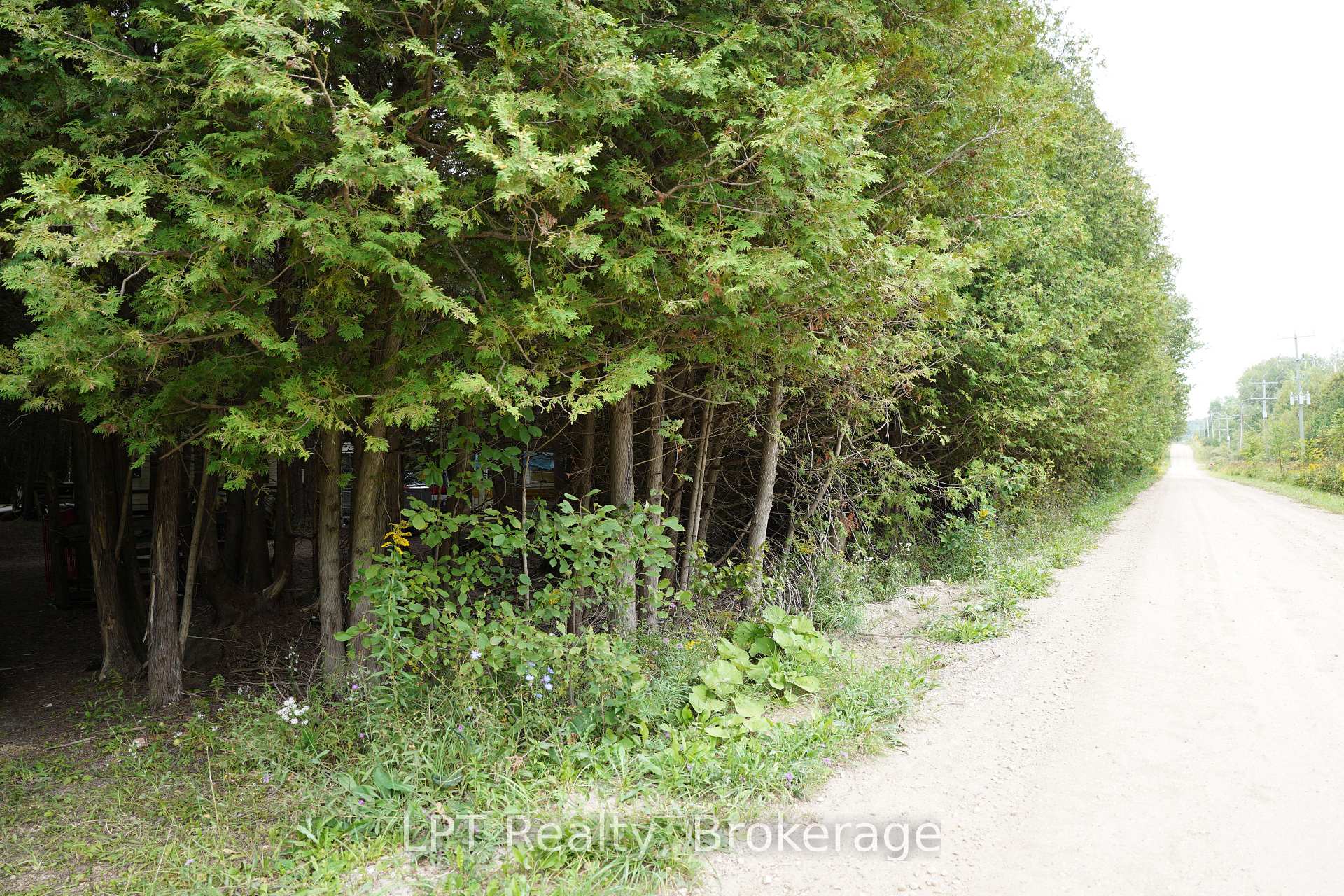 Photo 9 of PT LT 48-50 Con 1, Chatsworth — HOMEH