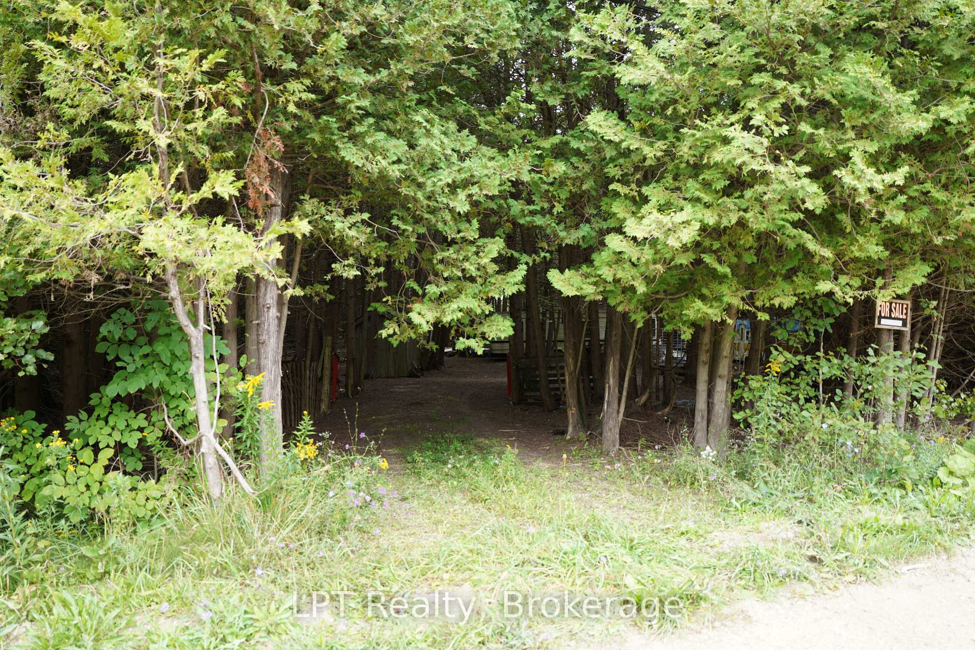 Photo 10 of PT LT 48-50 Con 1, Chatsworth — HOMEH