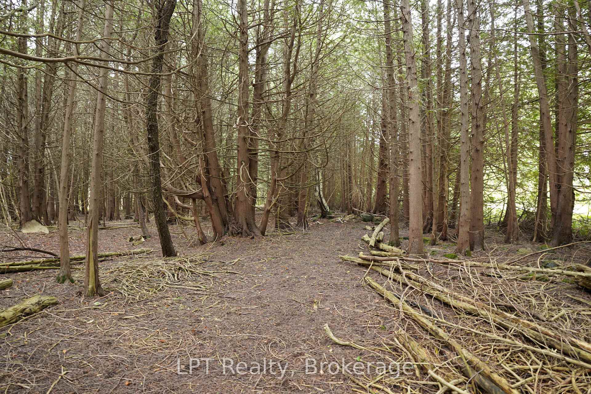 Photo 16 of PT LT 48-50 Con 1, Chatsworth — HOMEH