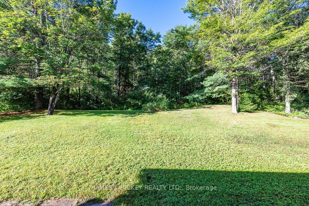 Photo 44 of 246 Thomas Street, Deep River, Deep River — HOMEH