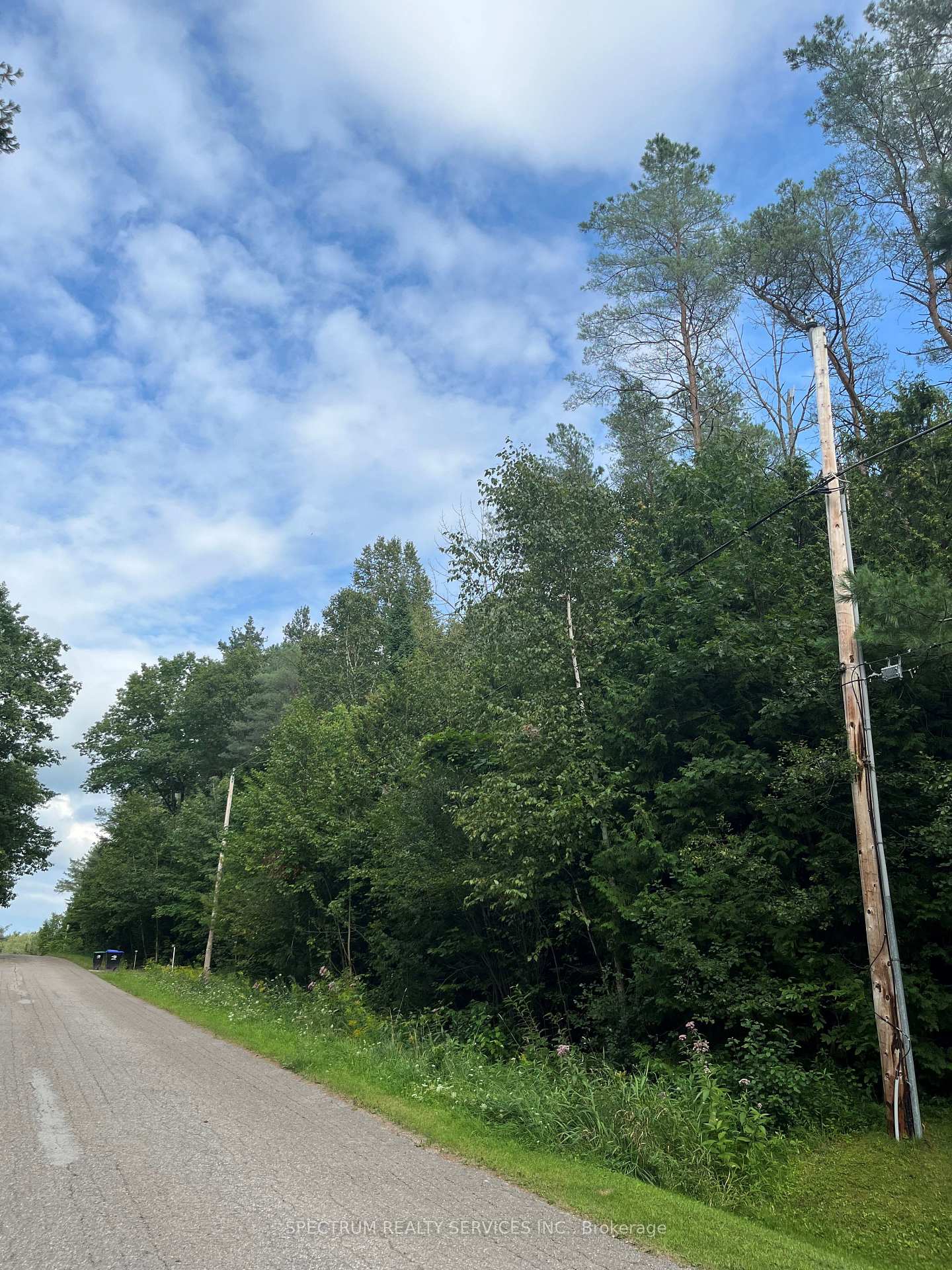 Photo 2 of 21 Peter Avenue, Tiny, Rural Tiny — HOMEH
