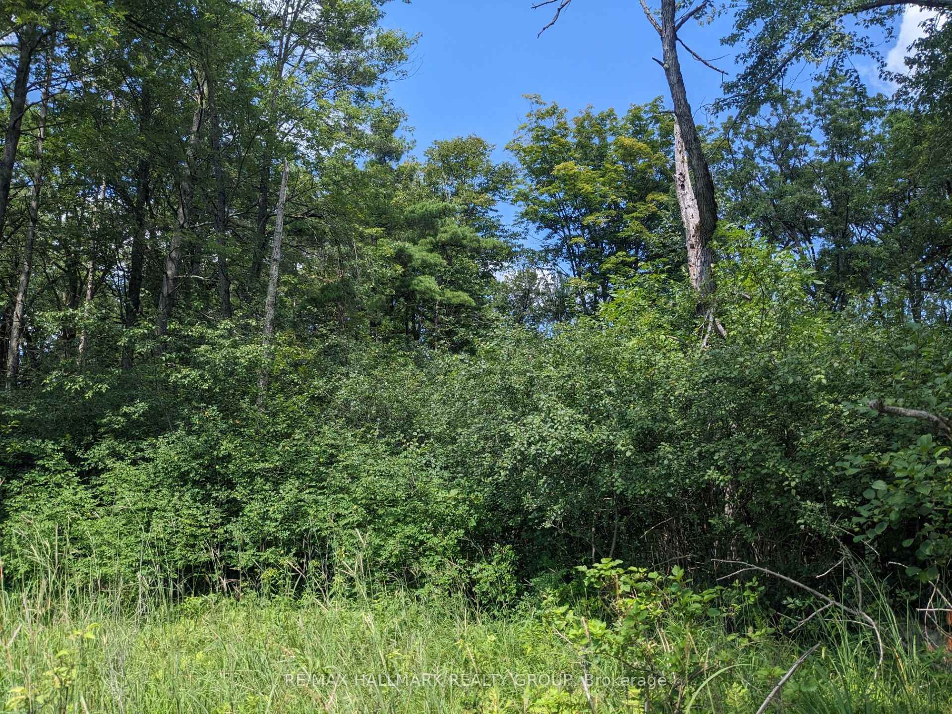 Photo 4 of 180 Kedey Island, Ottawa, Fitzroy — HOMEH