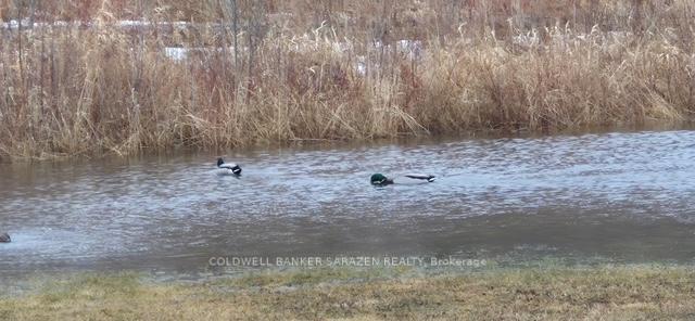 Photo 22 of 38 Paddington Private, Ottawa, Heron Gate/Industrial Park — HOMEH