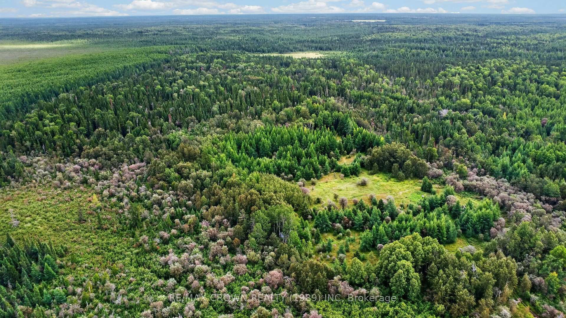 Photo 2 of Lot 1 Conc 10 Concession, Cochrane Remote Area, Hallebourg — HOMEH