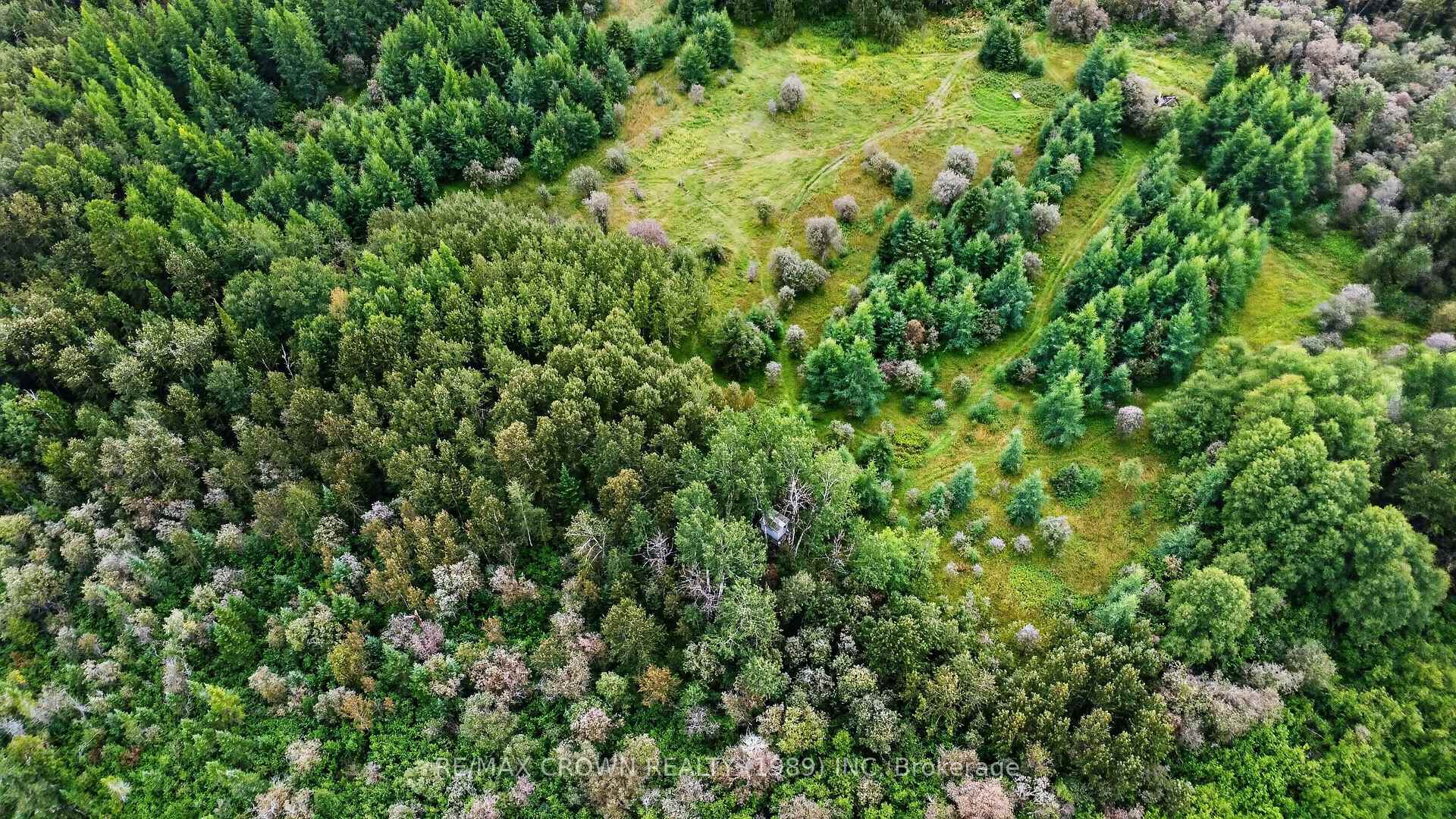 Photo 3 of Lot 1 Conc 10 Concession, Cochrane Remote Area, Hallebourg — HOMEH