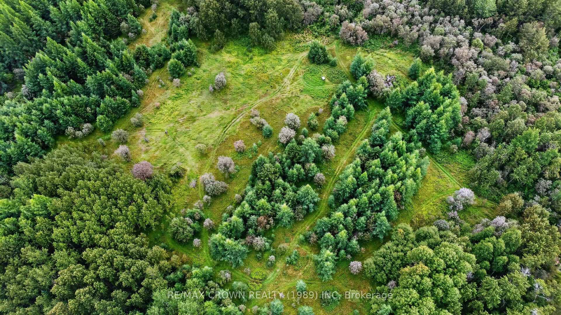 Photo 4 of Lot 1 Conc 10 Concession, Cochrane Remote Area, Hallebourg — HOMEH