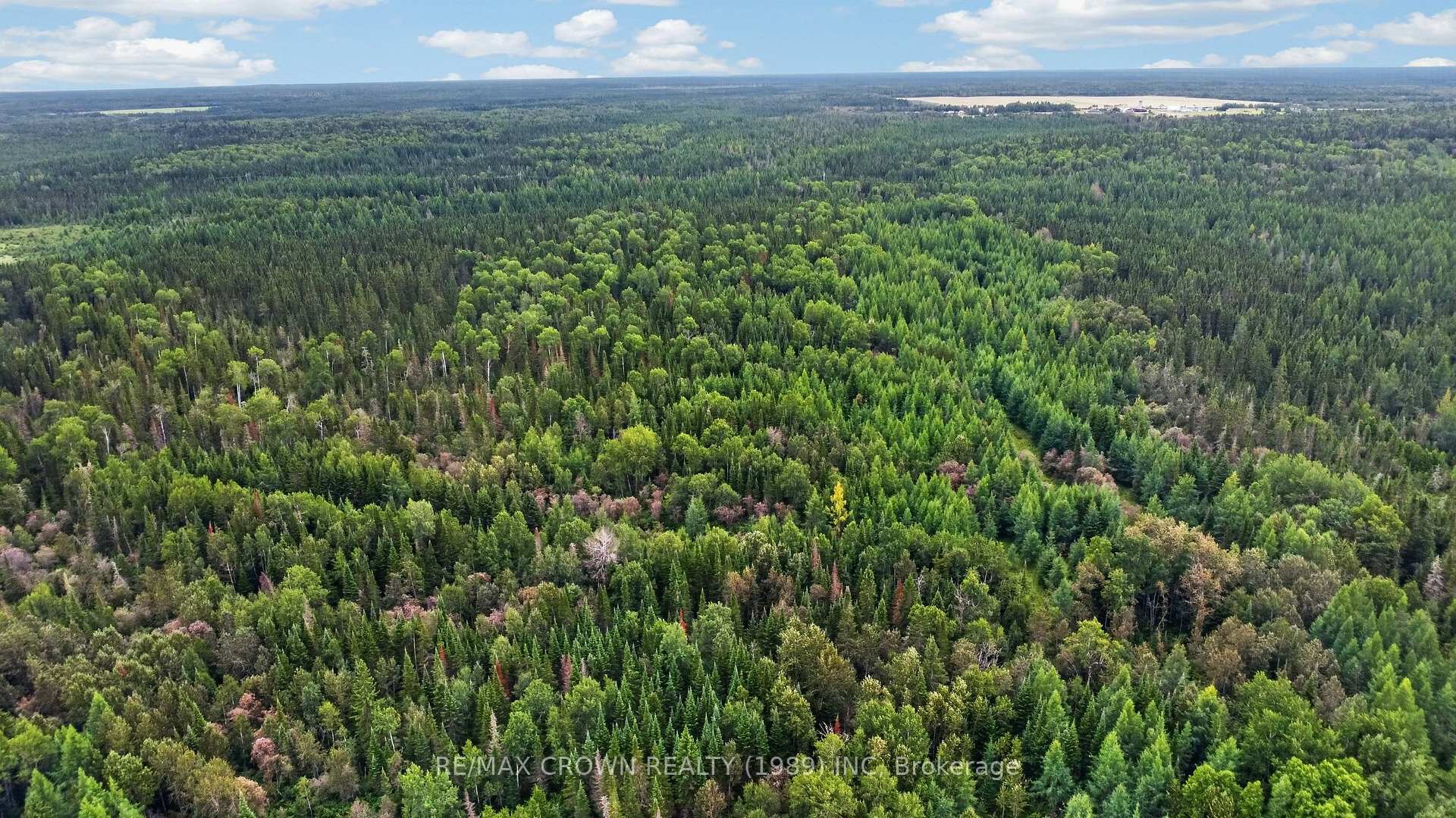 Photo 5 of Lot 1 Conc 10 Concession, Cochrane Remote Area, Hallebourg — HOMEH
