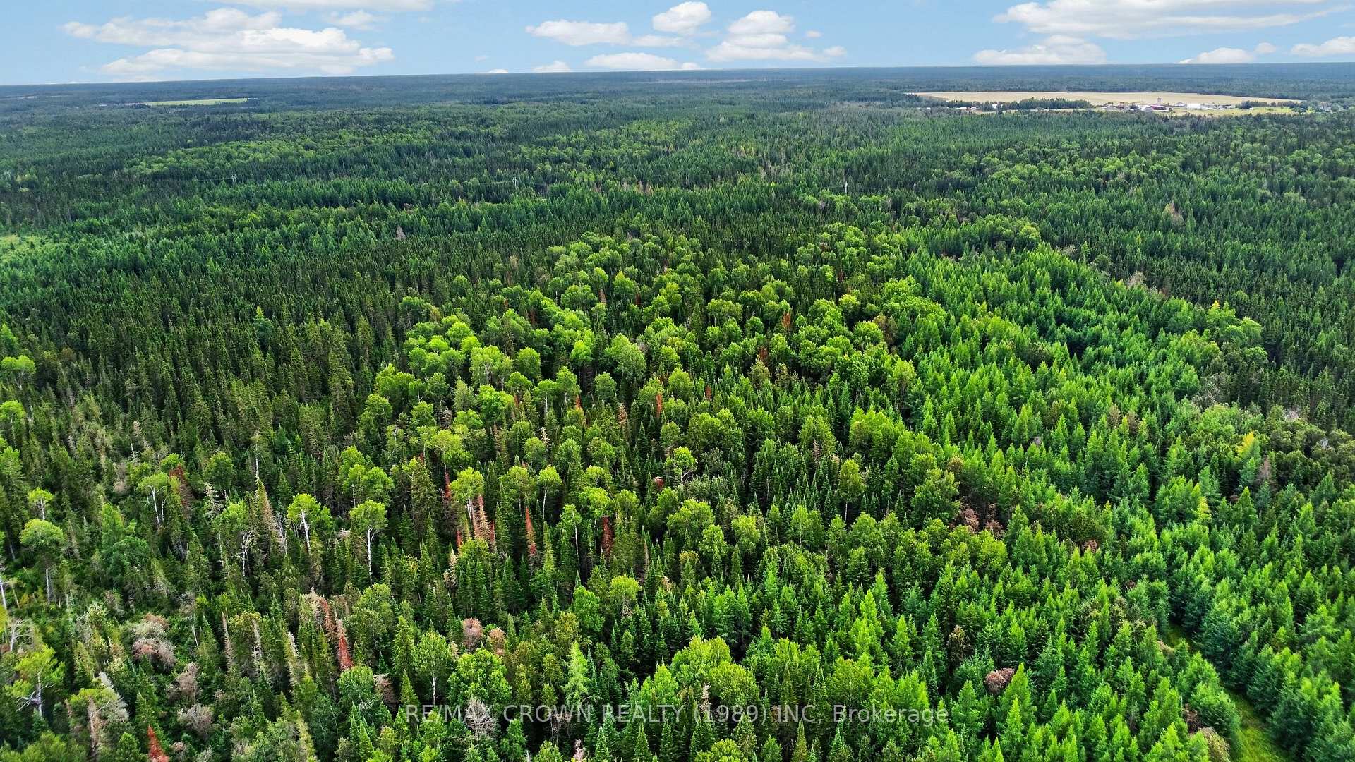 Photo 6 of Lot 1 Conc 10 Concession, Cochrane Remote Area, Hallebourg — HOMEH