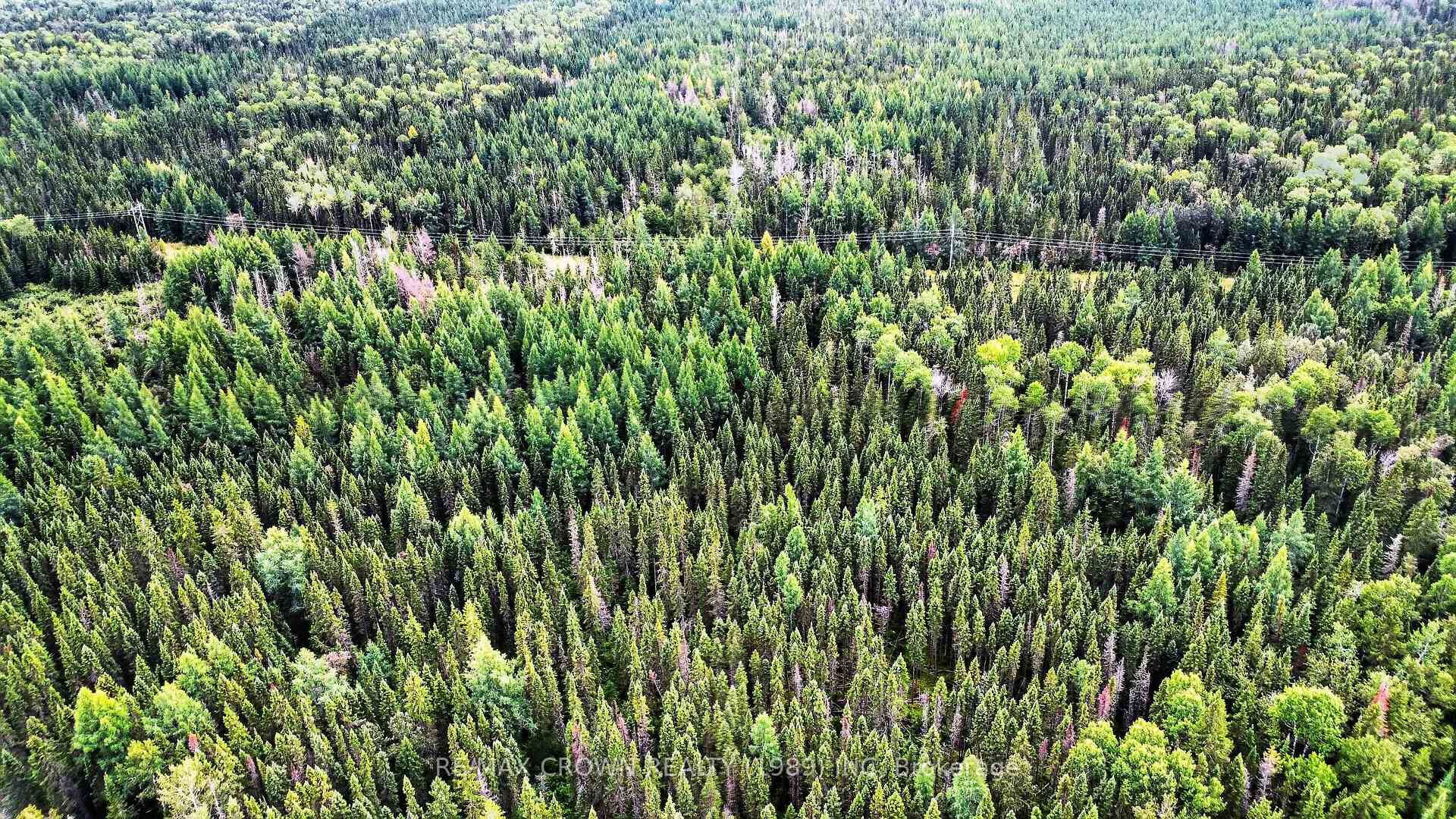 Photo 7 of Lot 1 Conc 10 Concession, Cochrane Remote Area, Hallebourg — HOMEH