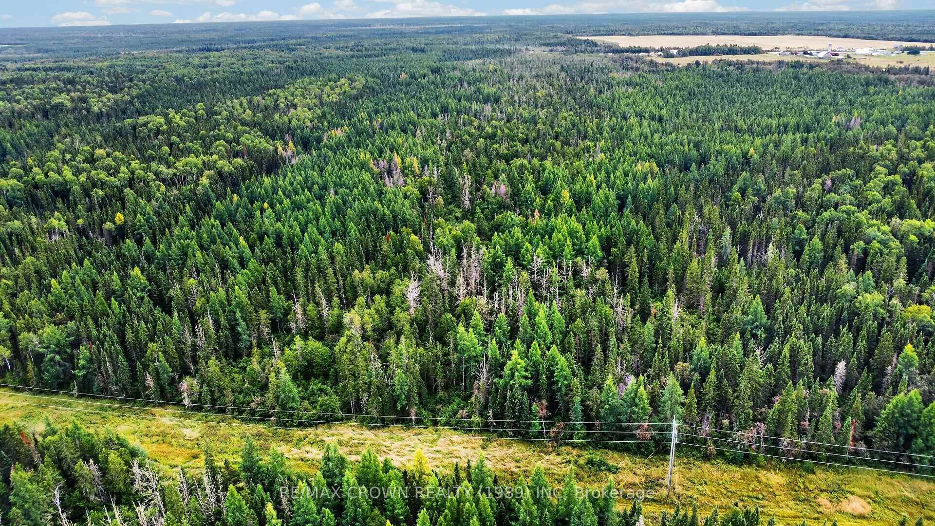 Photo 8 of Lot 1 Conc 10 Concession, Cochrane Remote Area, Hallebourg — HOMEH