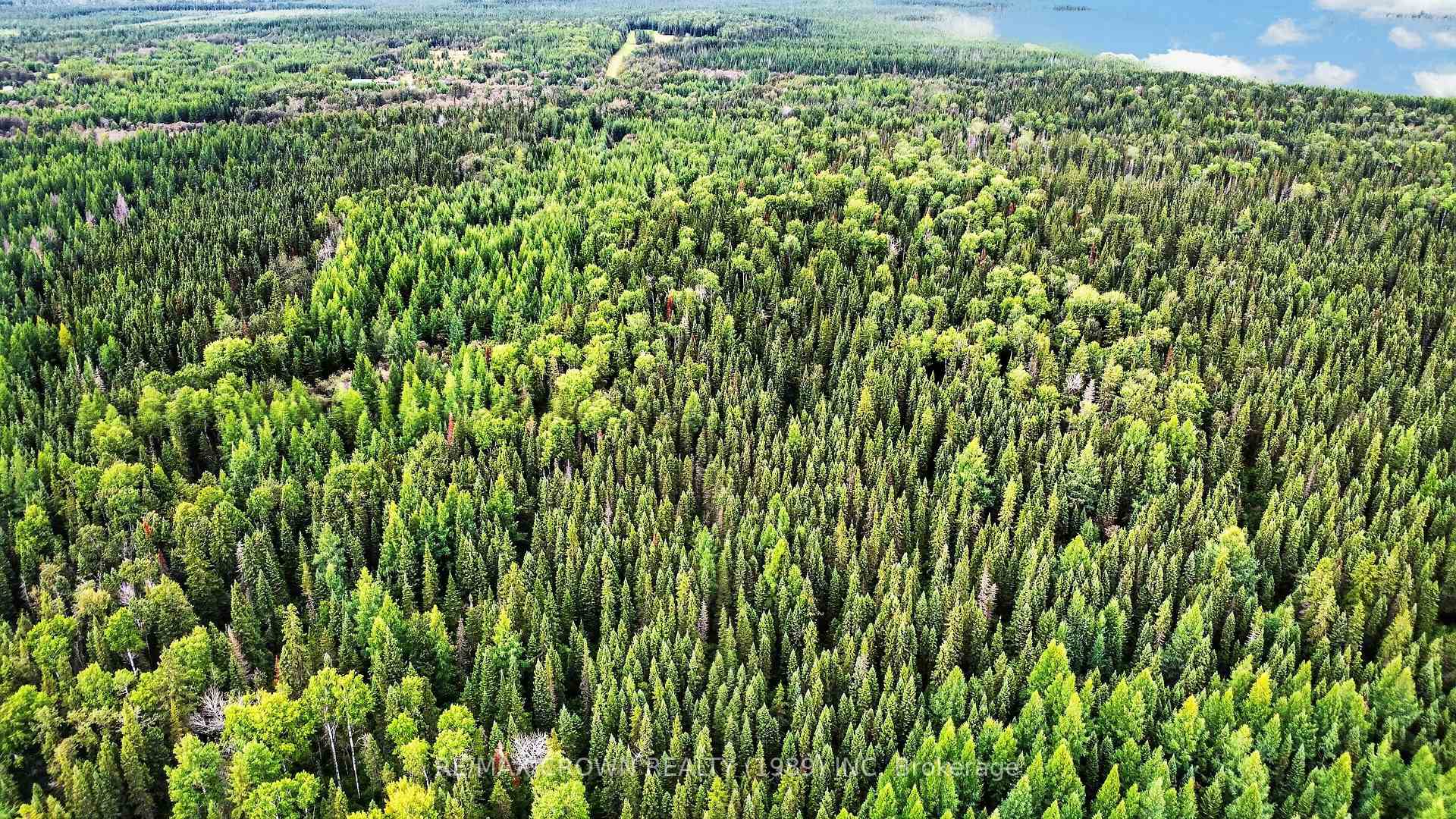 Photo 10 of Lot 1 Conc 10 Concession, Cochrane Remote Area, Hallebourg — HOMEH