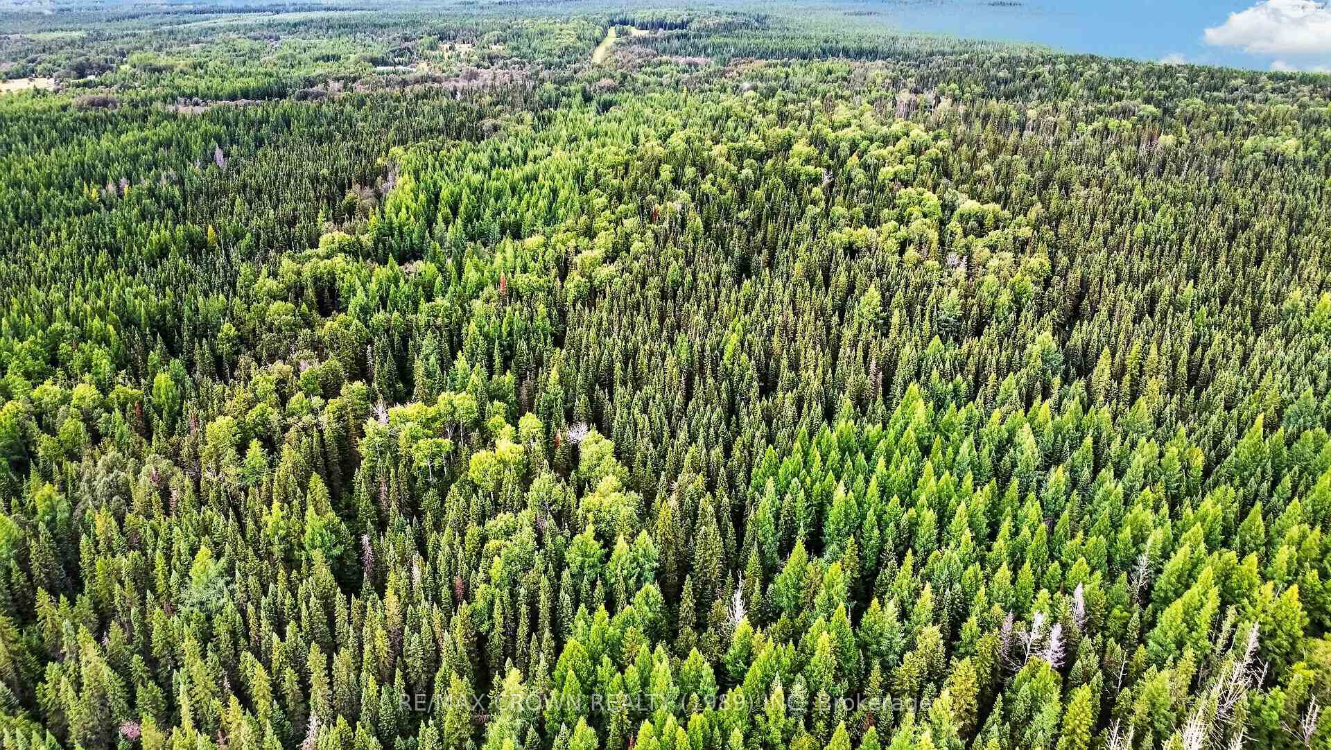 Photo 11 of Lot 1 Conc 10 Concession, Cochrane Remote Area, Hallebourg — HOMEH