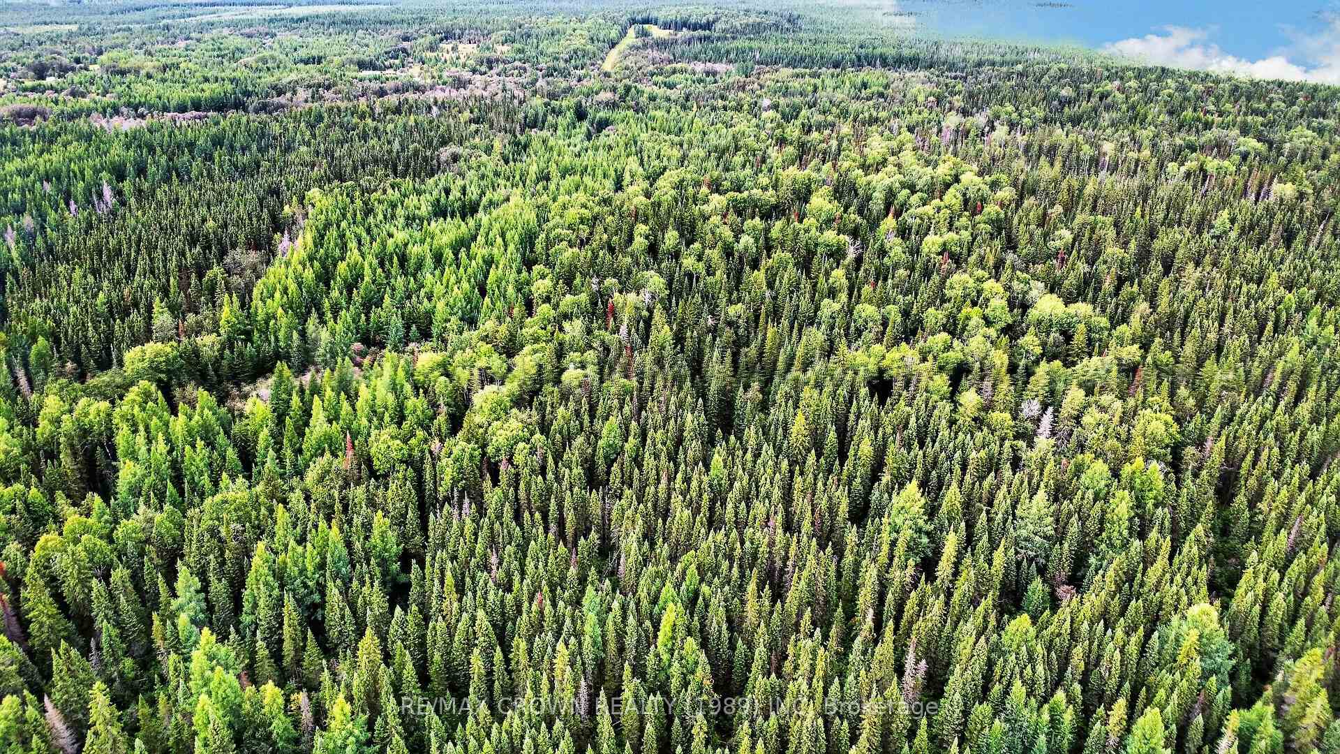 Photo 12 of Lot 1 Conc 10 Concession, Cochrane Remote Area, Hallebourg — HOMEH