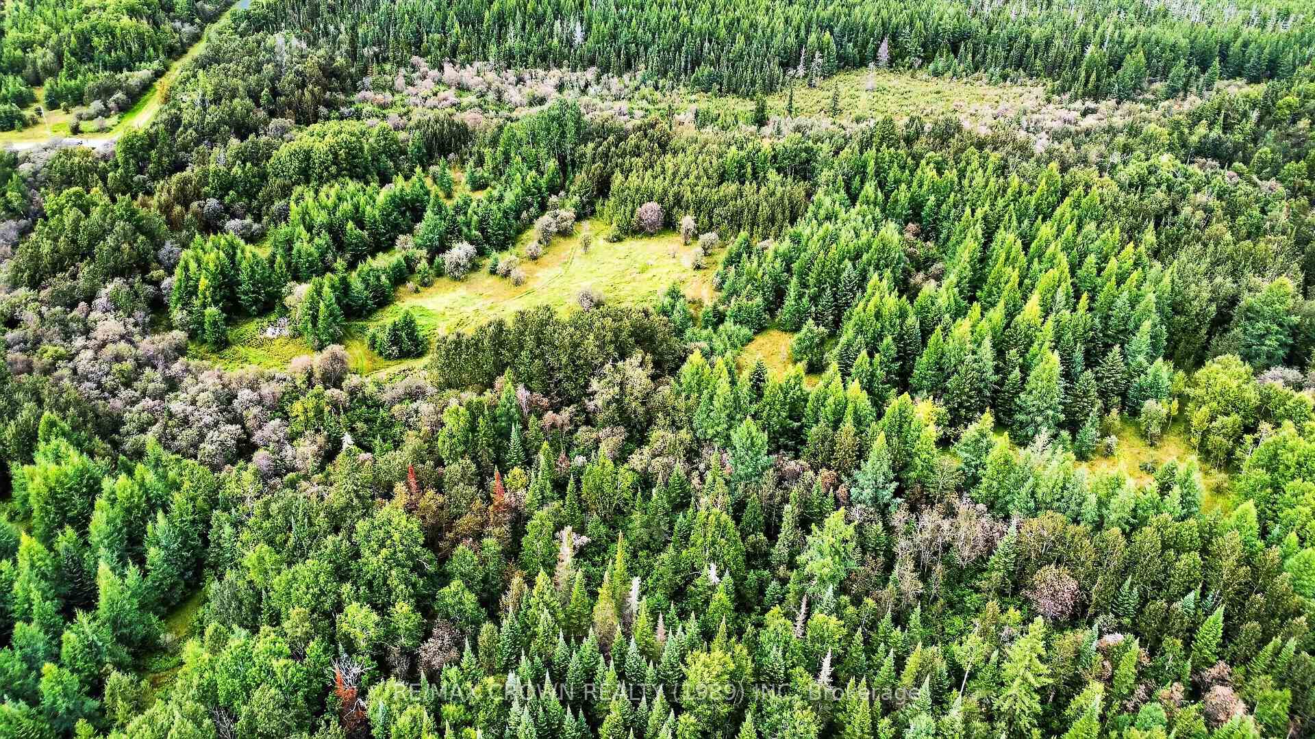 Photo 13 of Lot 1 Conc 10 Concession, Cochrane Remote Area, Hallebourg — HOMEH