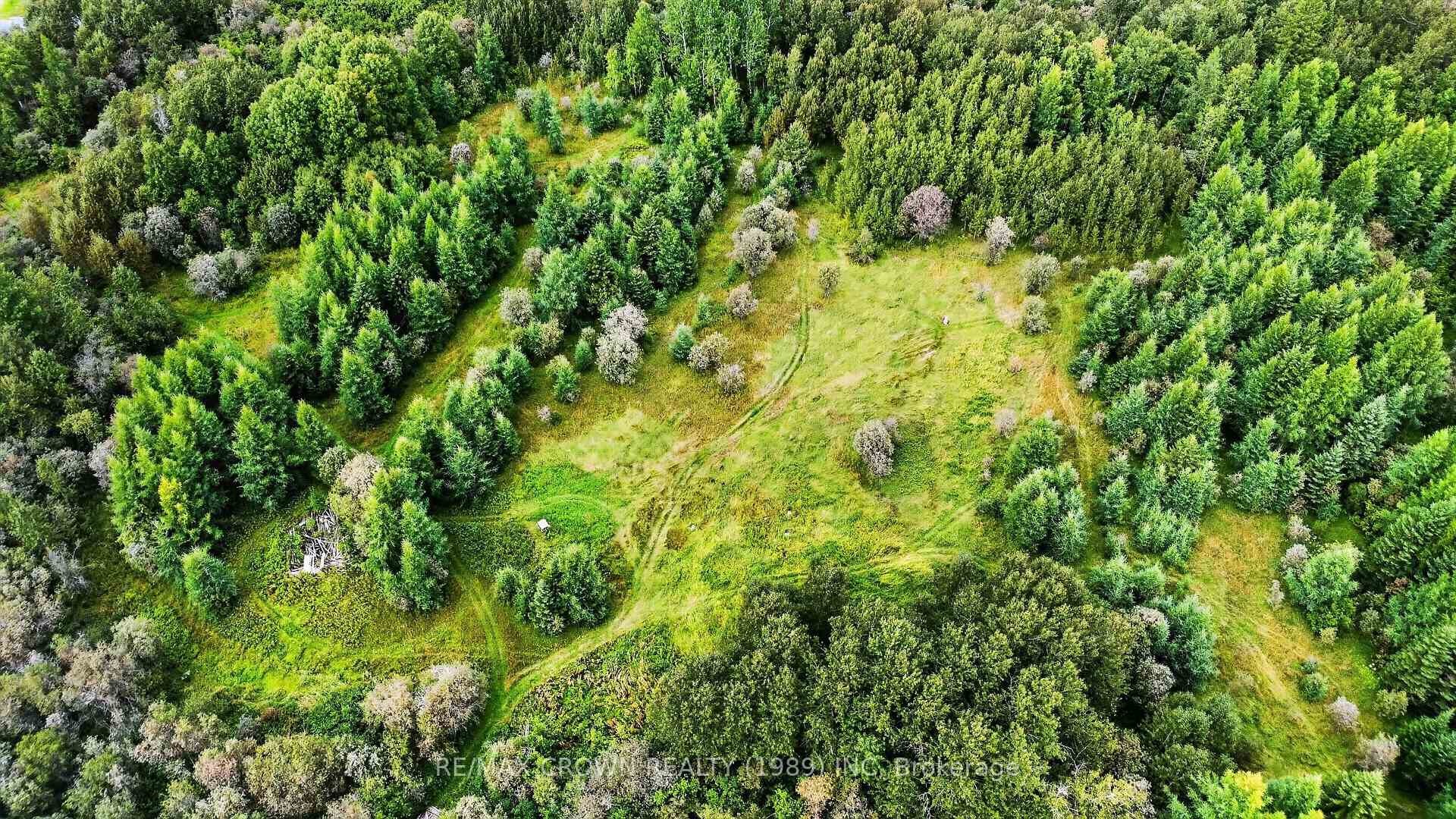 Photo 14 of Lot 1 Conc 10 Concession, Cochrane Remote Area, Hallebourg — HOMEH