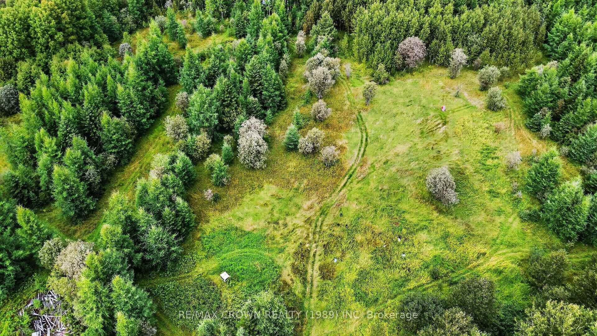 Photo 16 of Lot 1 Conc 10 Concession, Cochrane Remote Area, Hallebourg — HOMEH