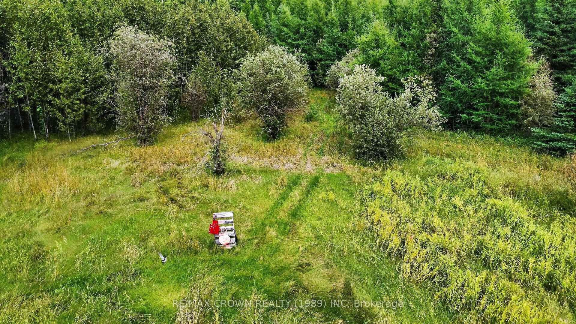 Photo 17 of Lot 1 Conc 10 Concession, Cochrane Remote Area, Hallebourg — HOMEH