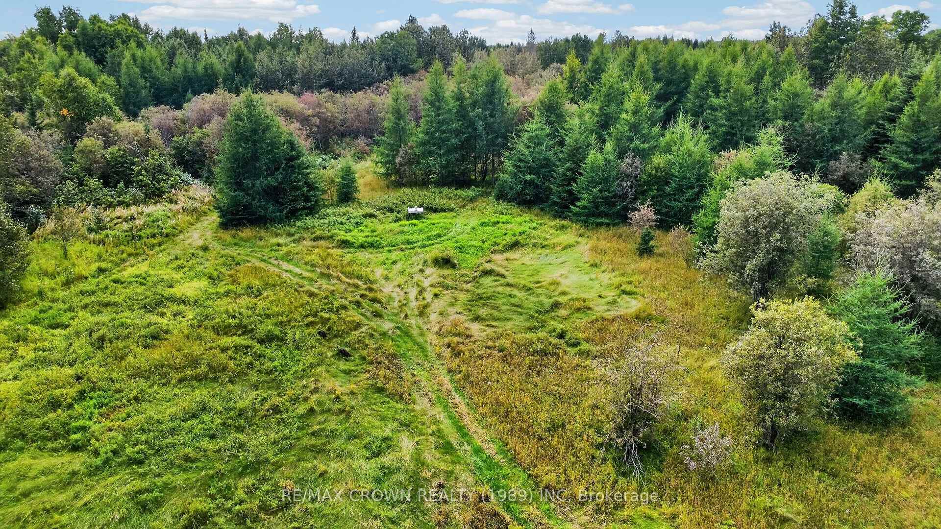 Photo 18 of Lot 1 Conc 10 Concession, Cochrane Remote Area, Hallebourg — HOMEH