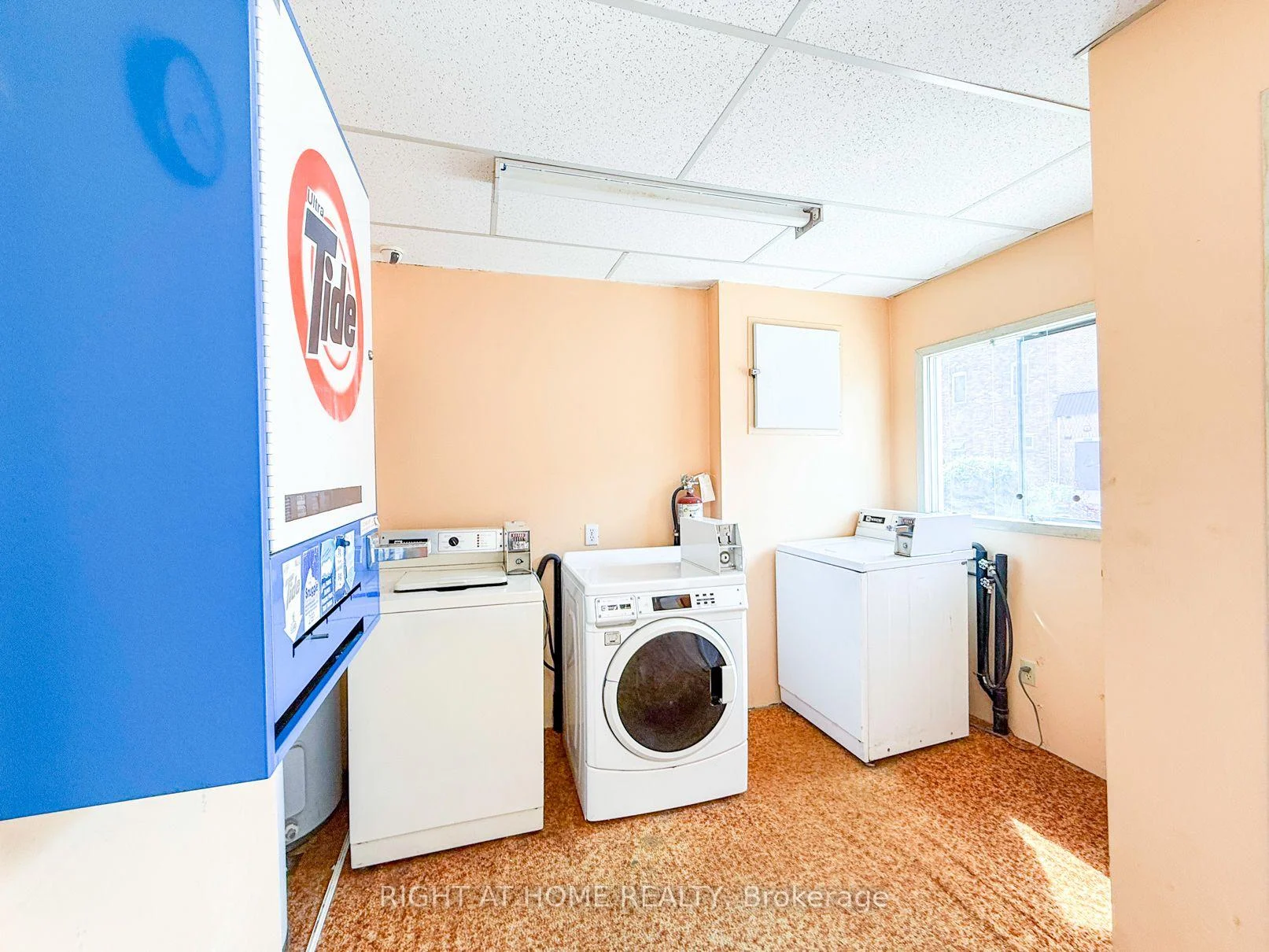 Photo 31 of 3024 Brigden Road, St. Clair — HOMEH