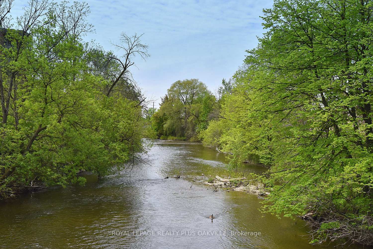 Photo 40 of Unit 310, 26 Ontario Street, Guelph, St. Patrick's Ward — HOMEH