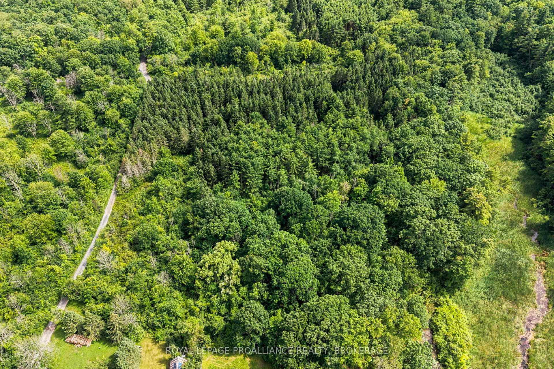 Photo 8 of PT LT 25 Driscoll Road, Frontenac Islands, Howe Island — HOMEH