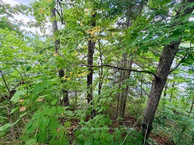 Photo 21 of 220 East Whalley Lake Road E, Magnetawan — HOMEH