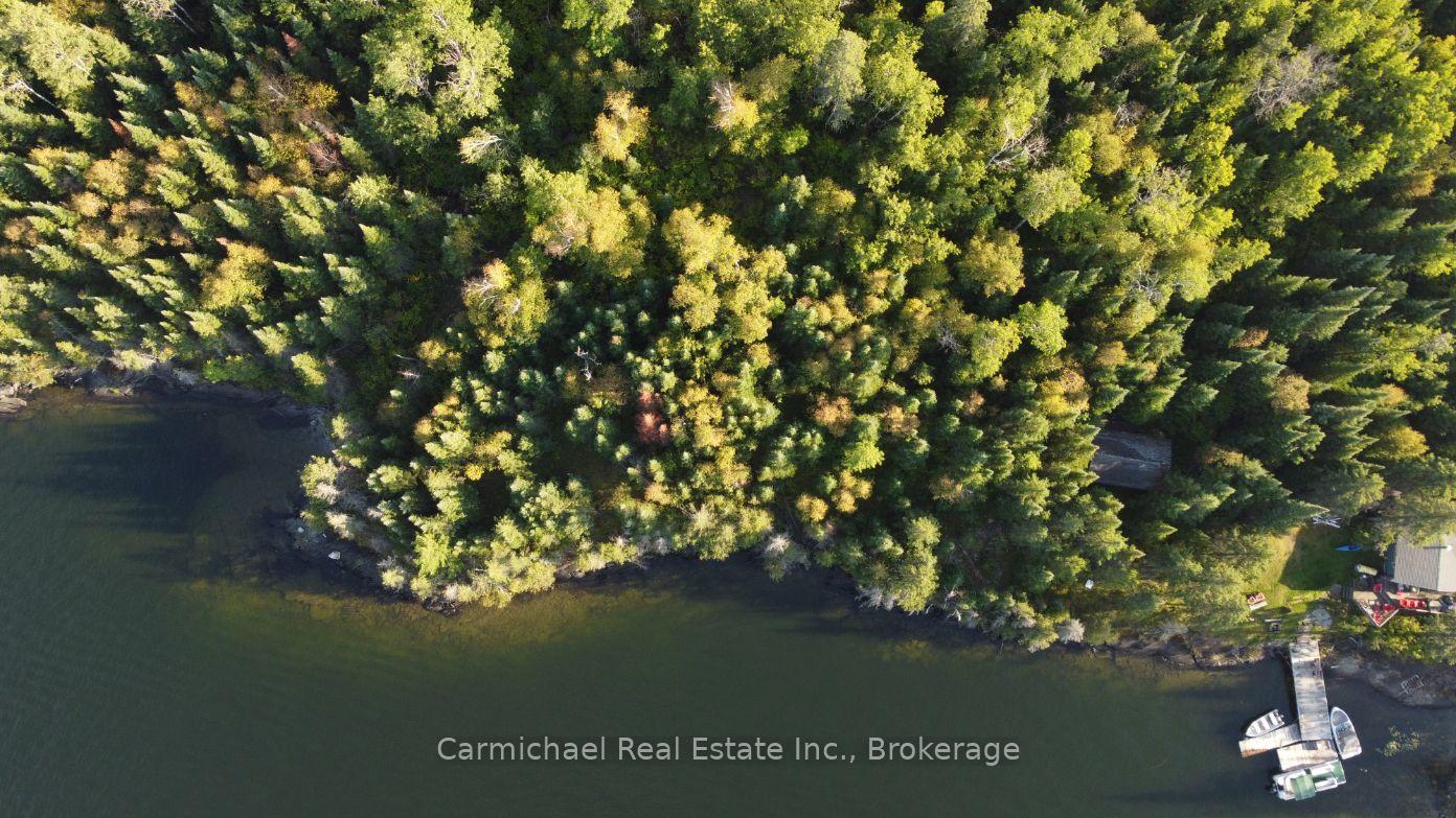 Photo 4 of Lot 3 Zigzag Island, Kenora Remote Area, Lake of the Woods West — HOMEH
